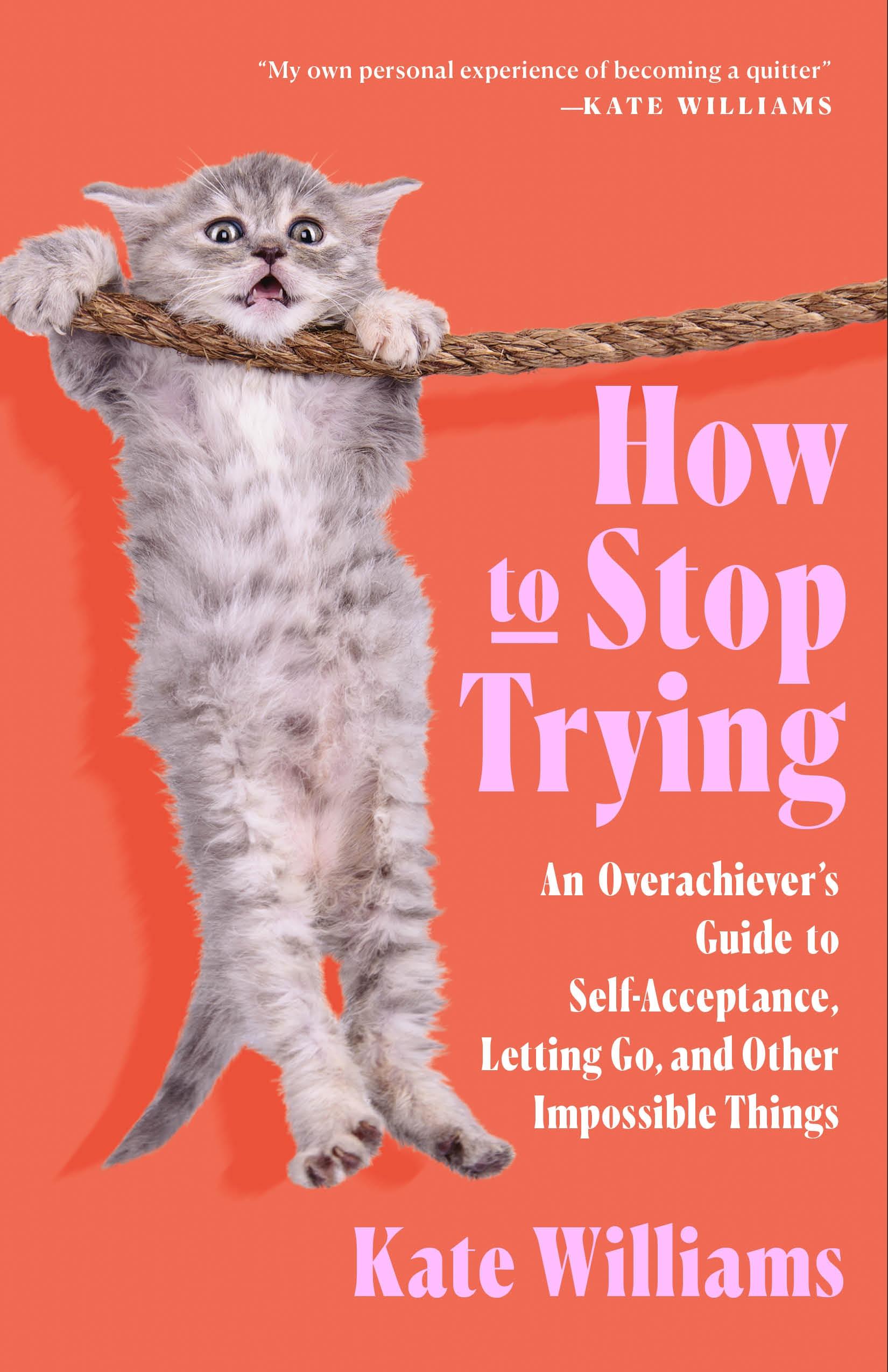 Vorderes Coverbild How to Stop Trying