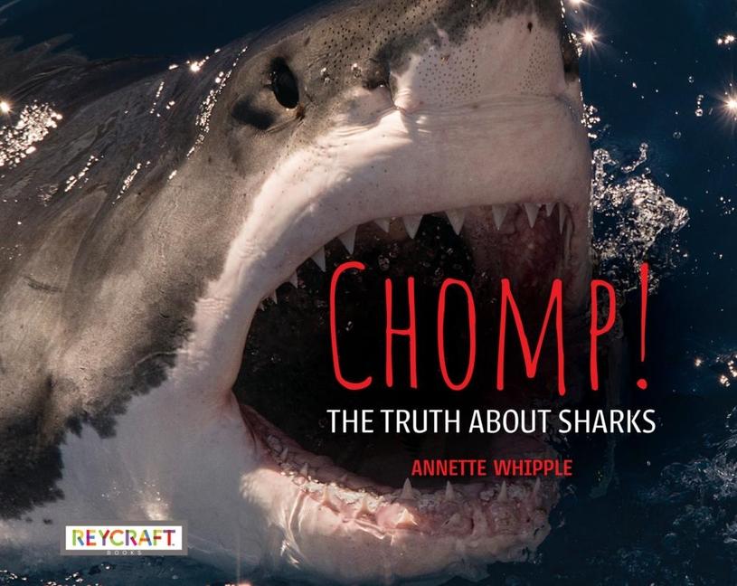 Vorderes Coverbild Chomp! the Truth about Sharks