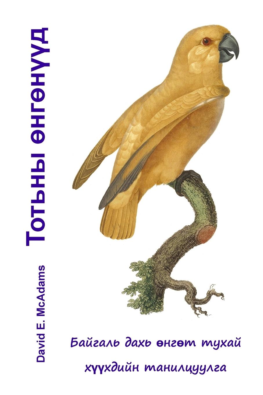 Vorderes Coverbild Тотьны өнгөнүүд