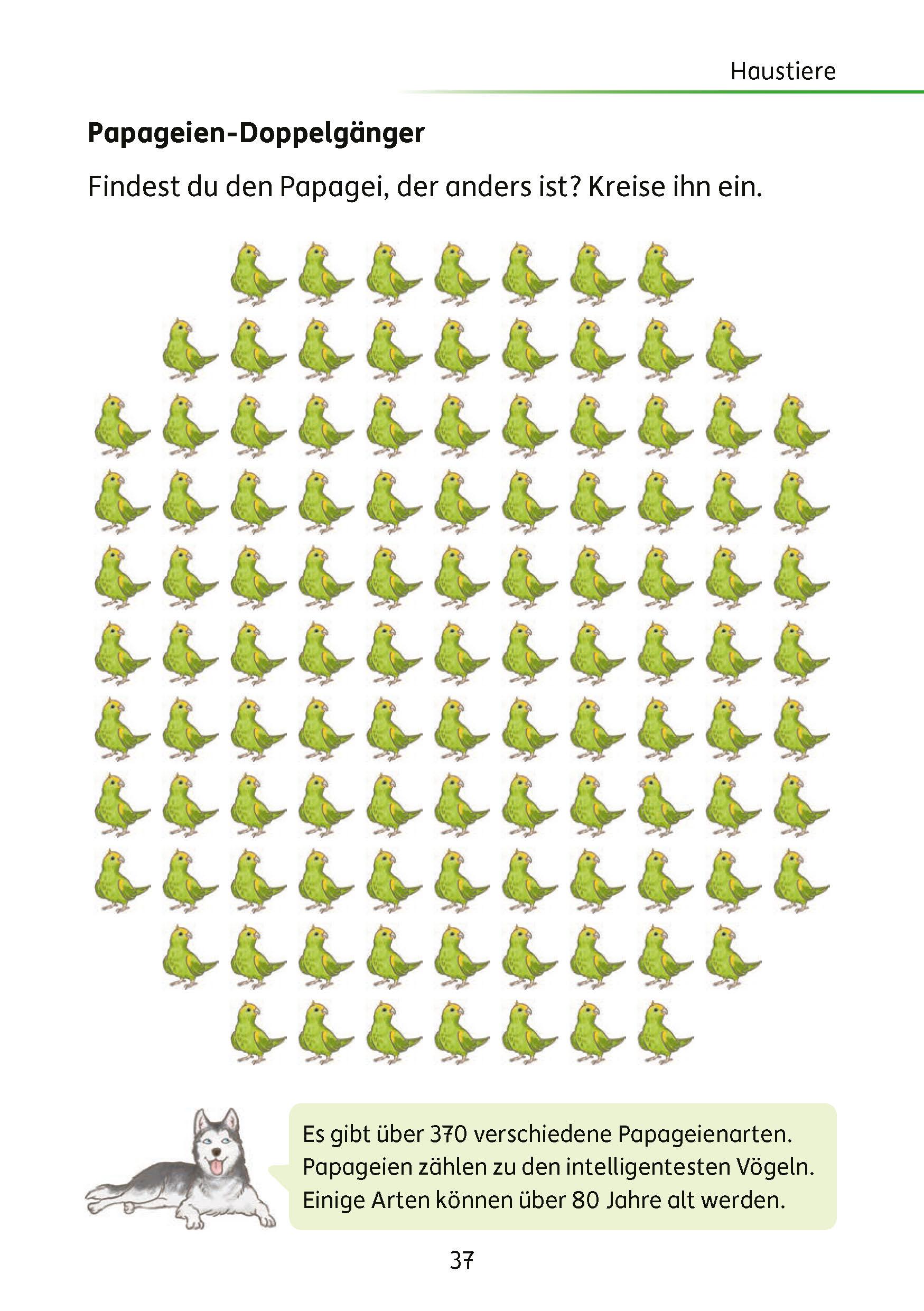 Beispielinhalt (Bild) Mein Rätselblock Sachunterricht 2. Klasse