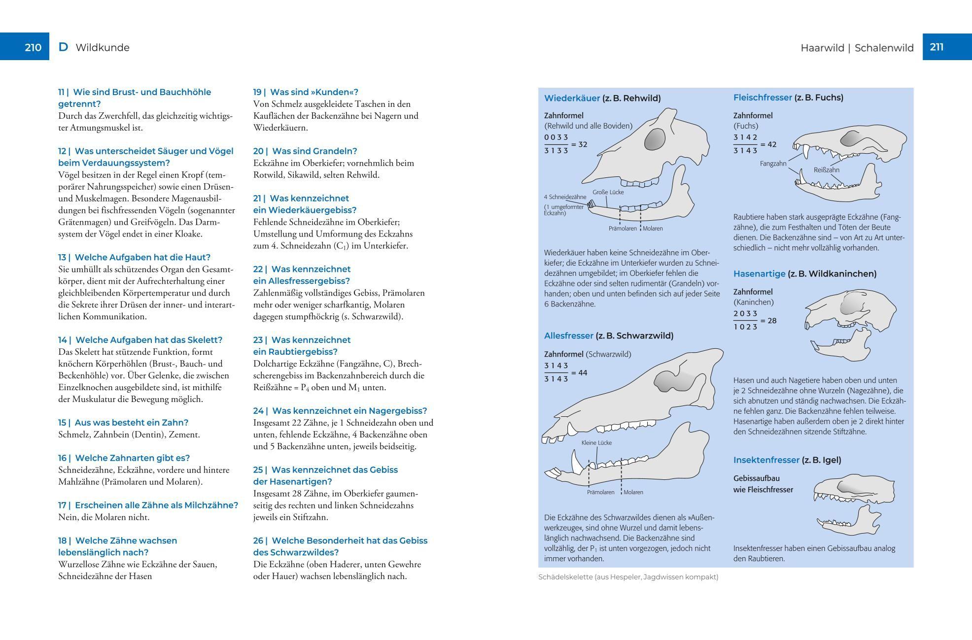 Beispielinhalt (Bild) Vor und nach der Jägerprüfung - Printausgabe