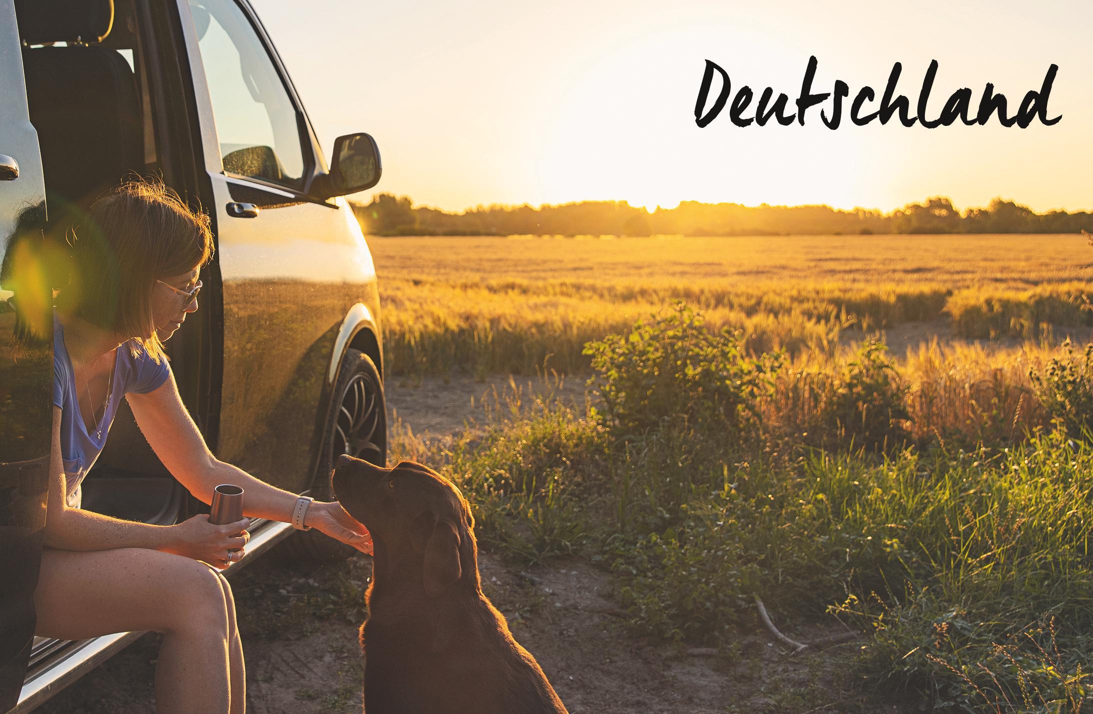 Beispielinhalt (Bild) Yes we camp! Camping mit Hund