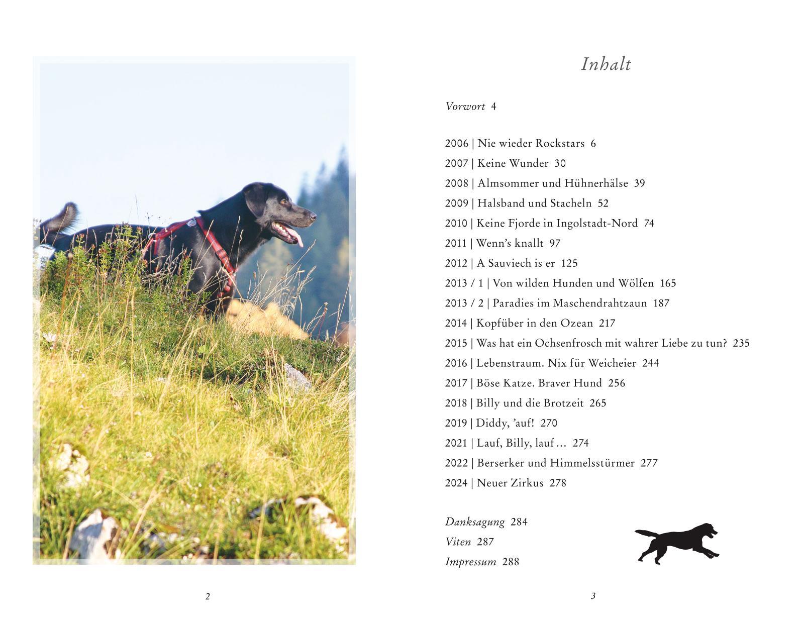 Beispielinhalt (Bild) Schon wieder abgehauen