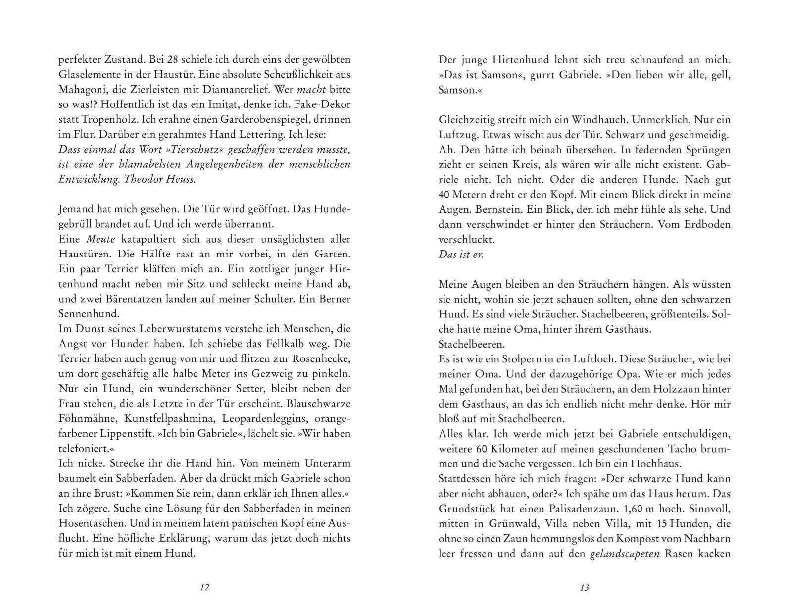 Beispielinhalt (Bild) Schon wieder abgehauen