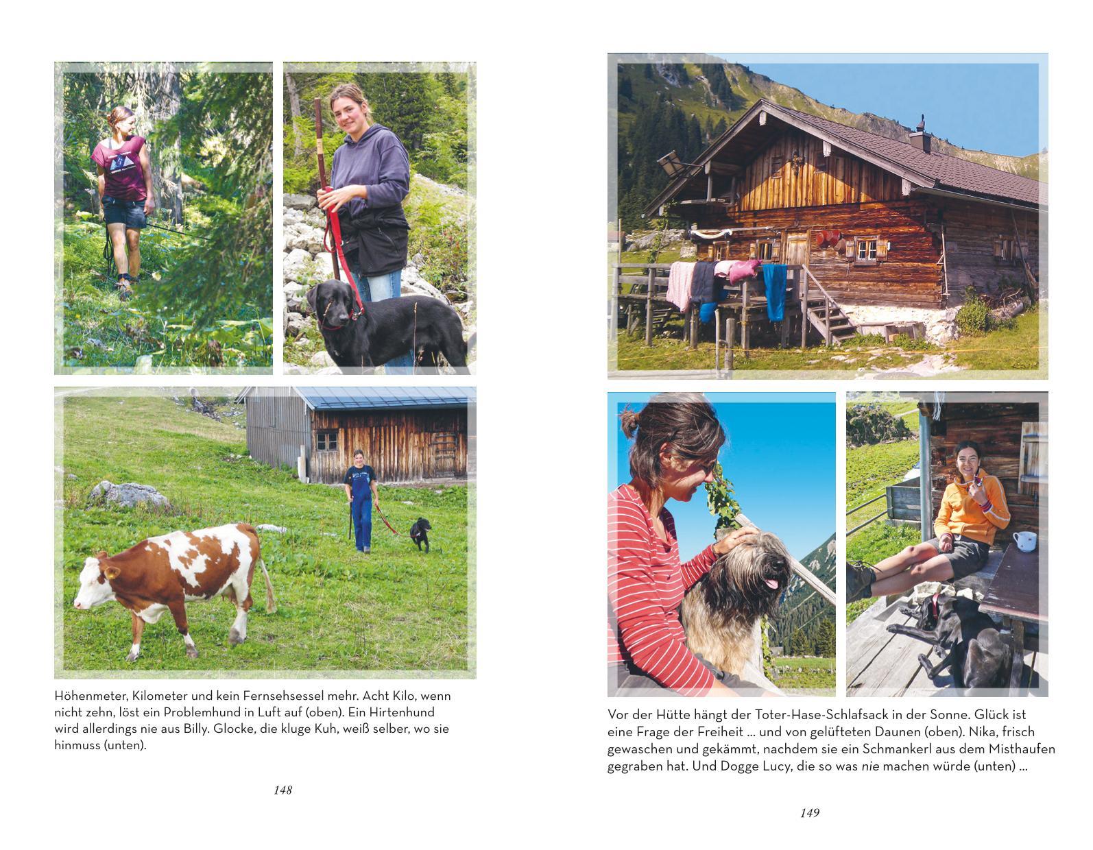 Beispielinhalt (Bild) Schon wieder abgehauen