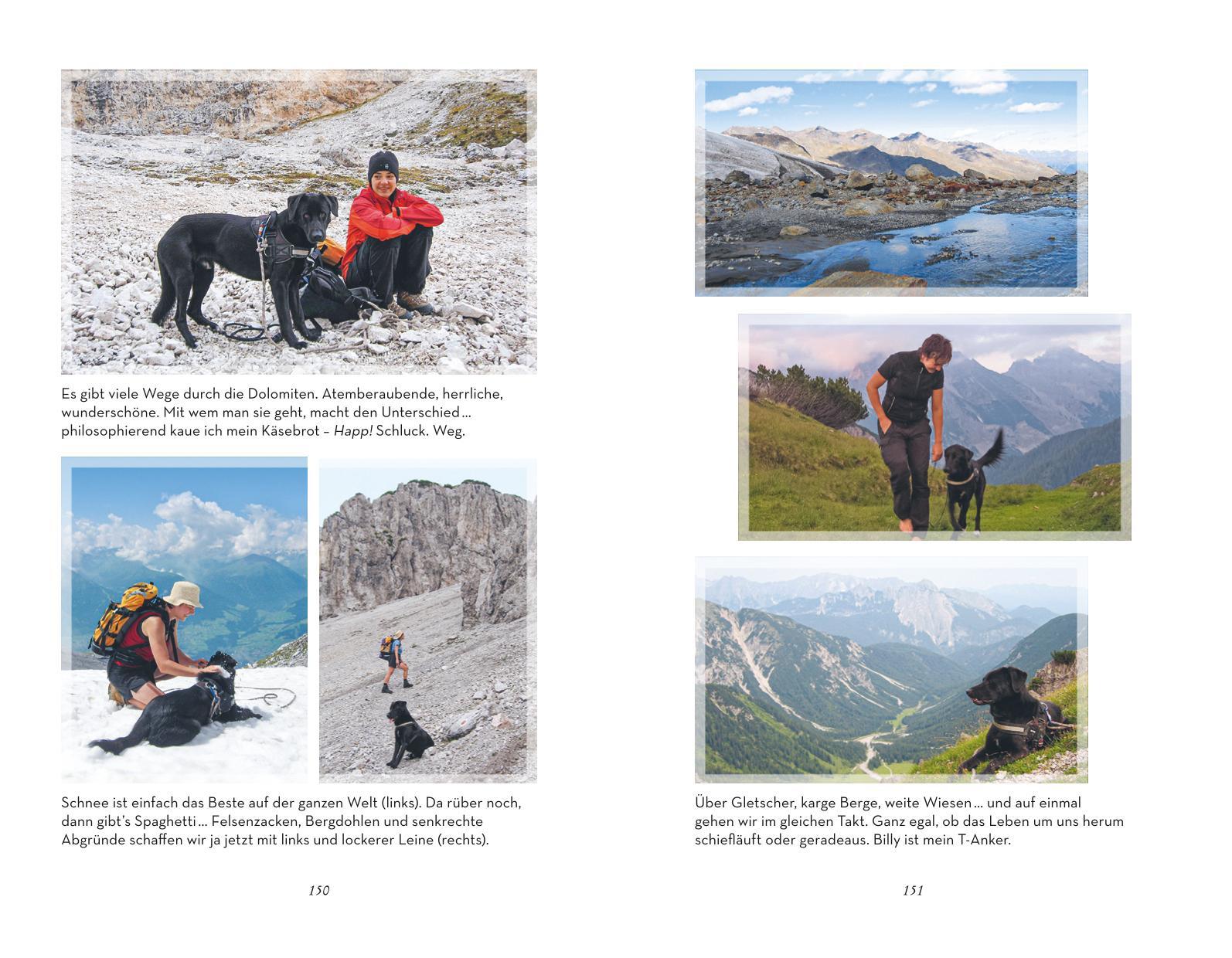 Beispielinhalt (Bild) Schon wieder abgehauen