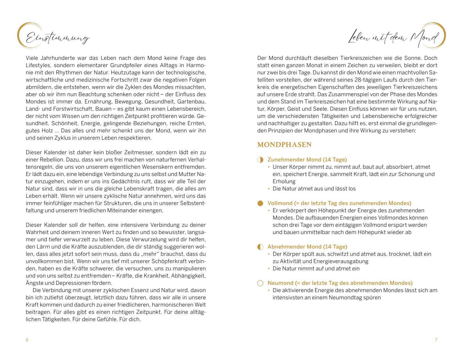 Beispielinhalt (Bild) Bloom with the Moon 2025