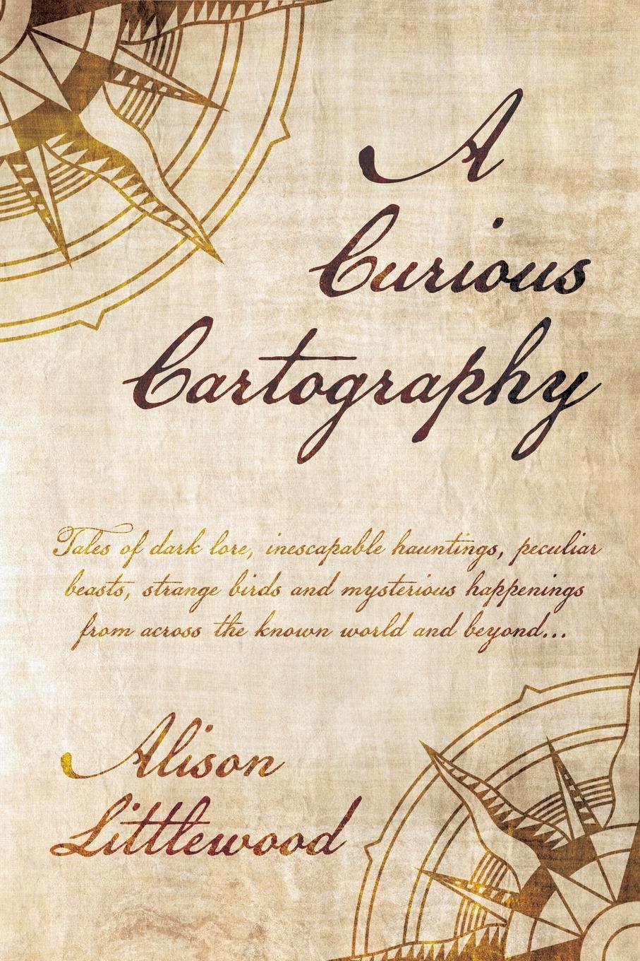 Vorderes Coverbild A Curious Cartography