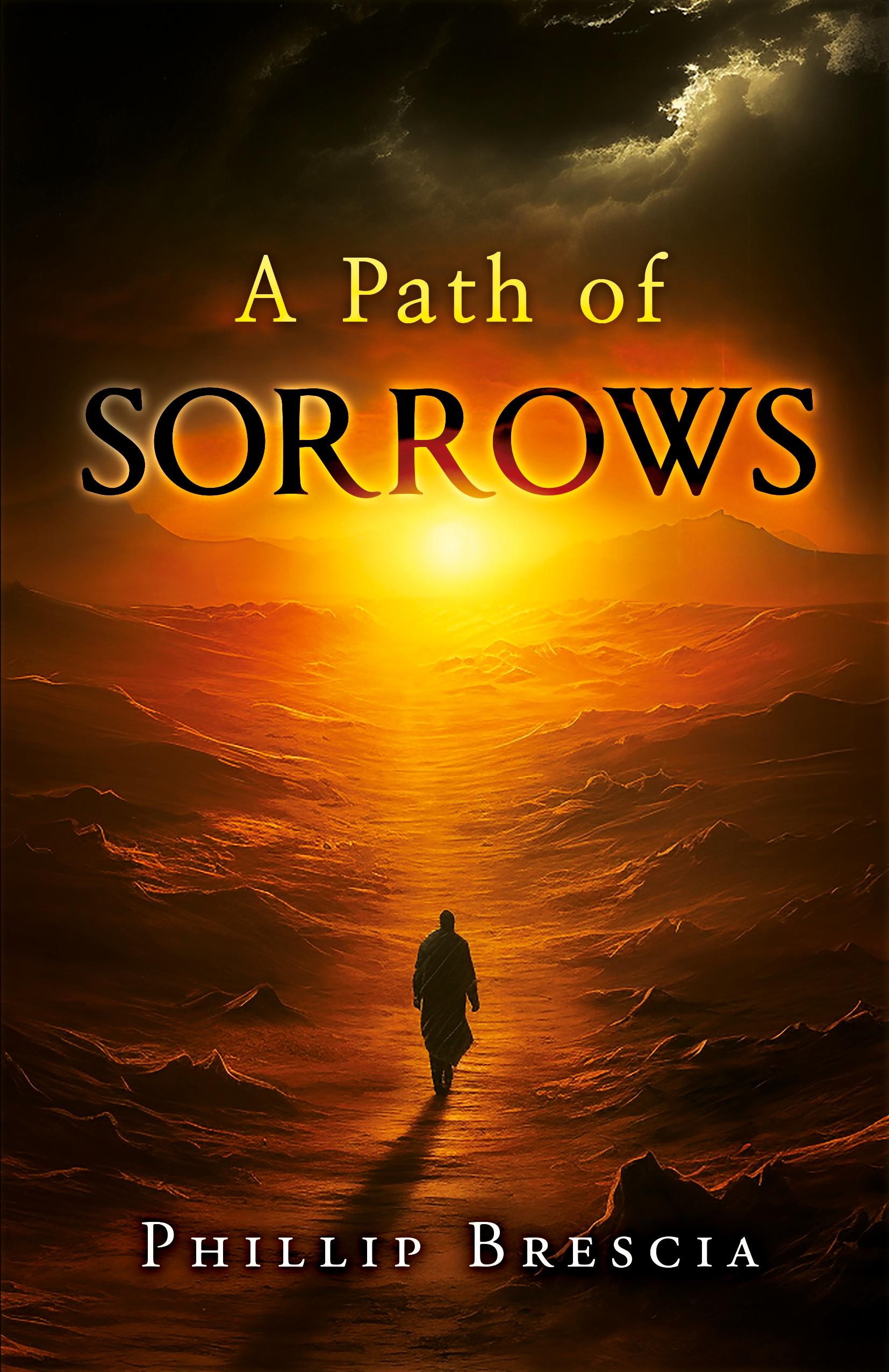 Vorderes Coverbild A Path of Sorrows