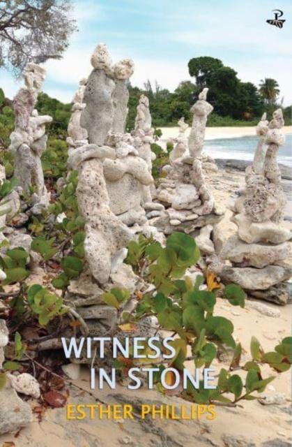 Vorderes Coverbild Witness in Stone
