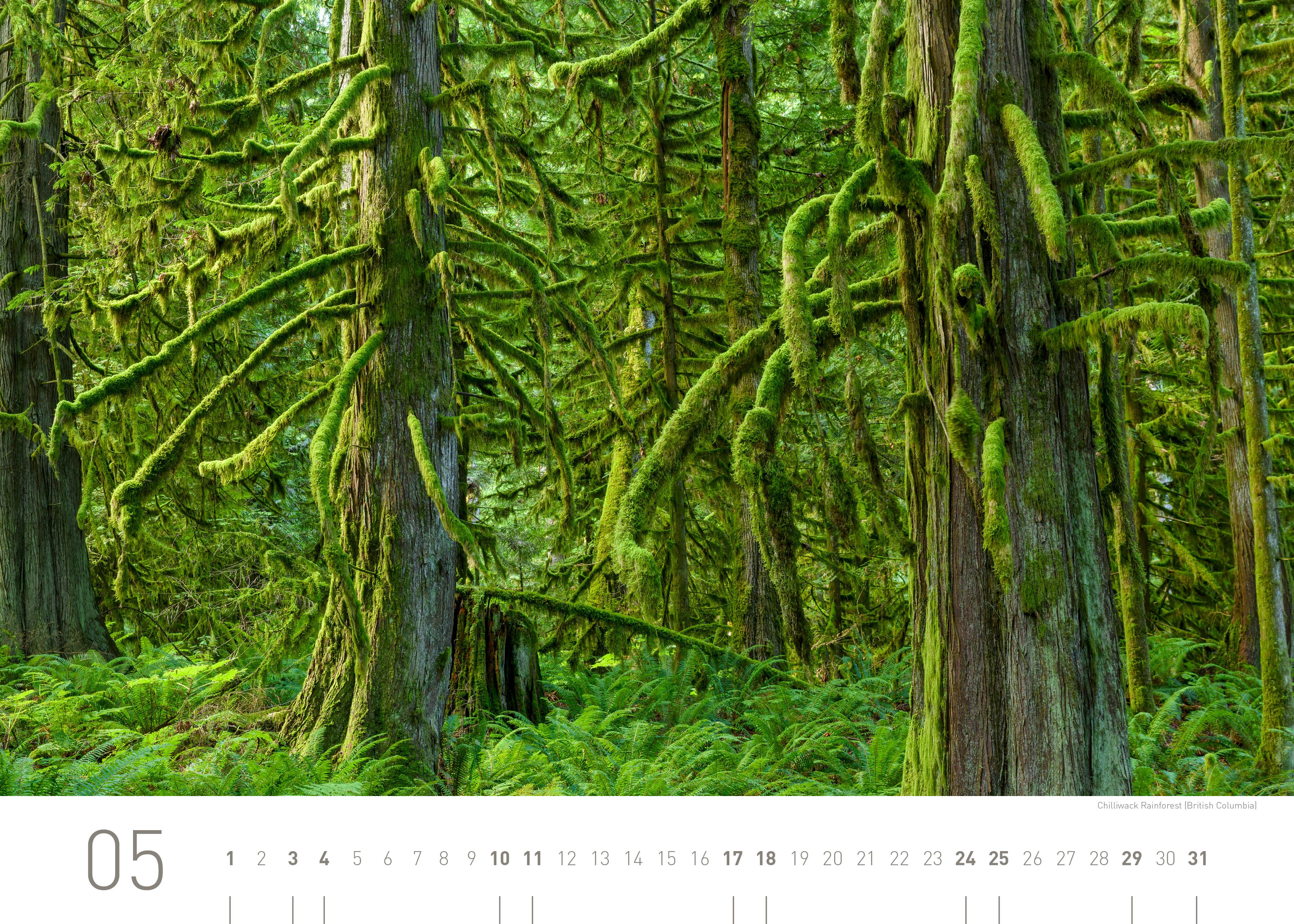 Beispielinhalt (Bild) 360° Kanada Exklusivkalender 2025