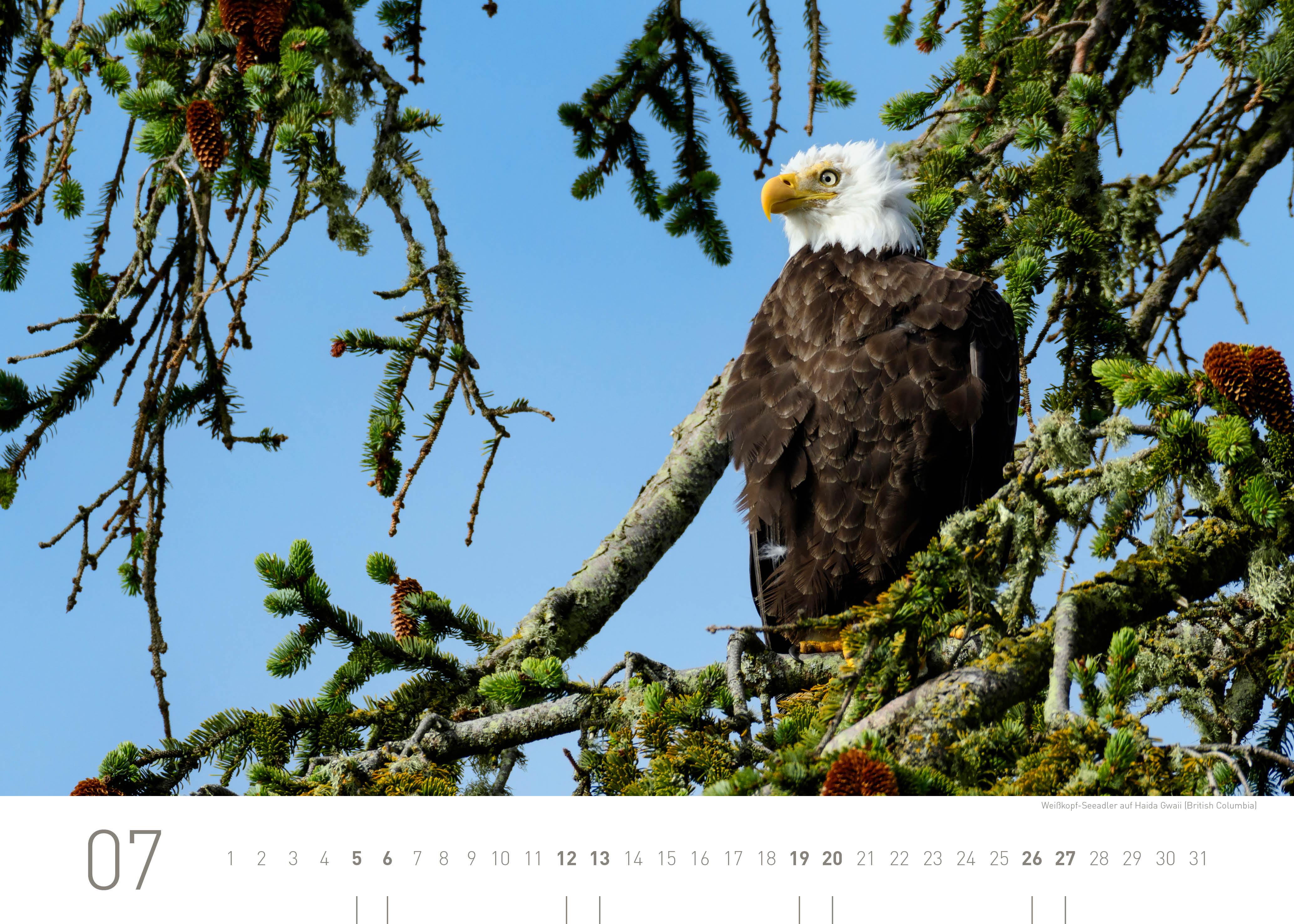 Beispielinhalt (Bild) 360° Kanada Exklusivkalender 2025