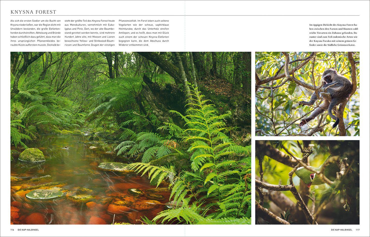 Beispielinhalt (Bild) KUNTH Südafrika. Das Buch (Magnum-Ausgabe)