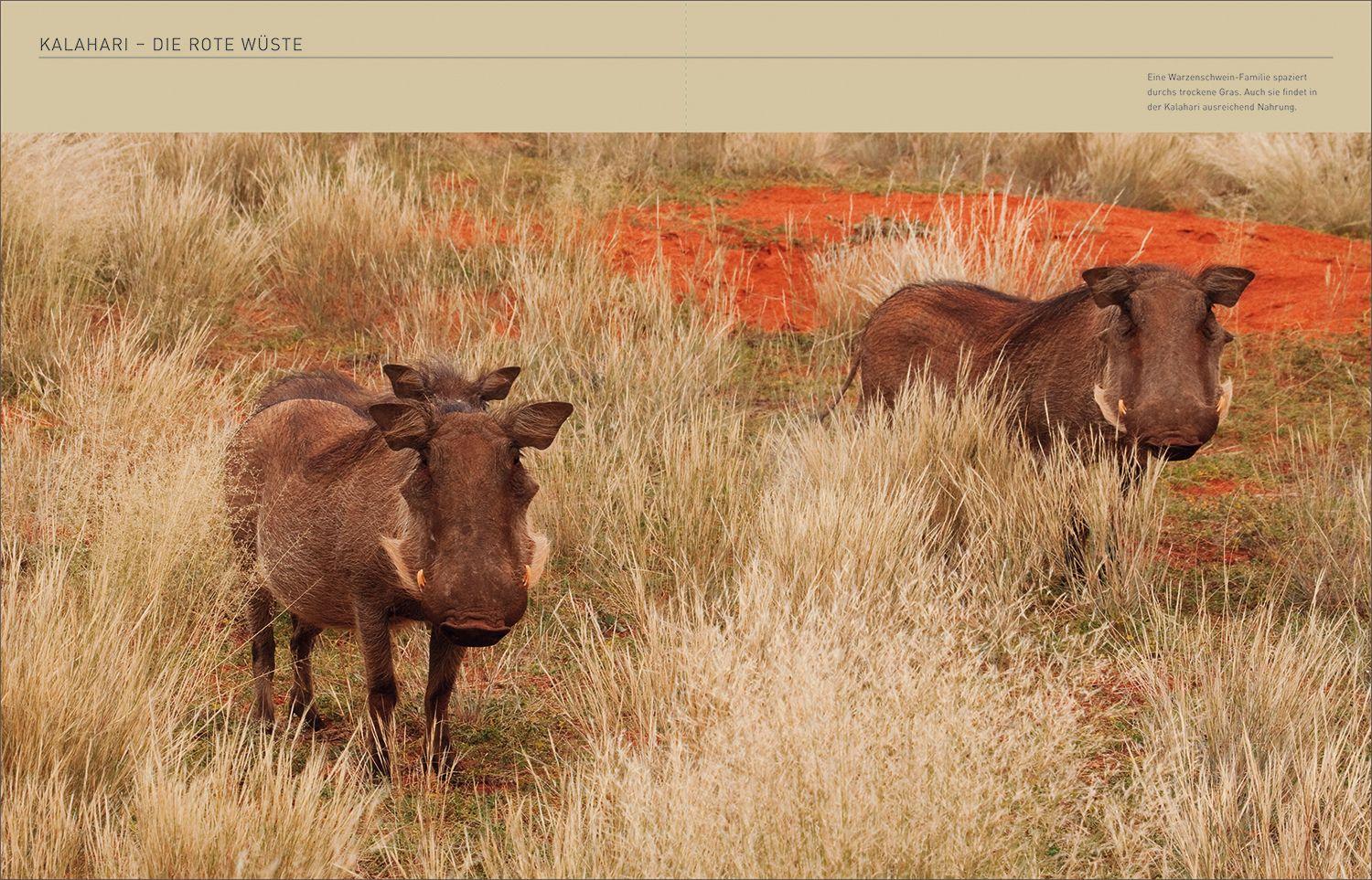 Beispielinhalt (Bild) KUNTH Südafrika. Das Buch (Magnum-Ausgabe)