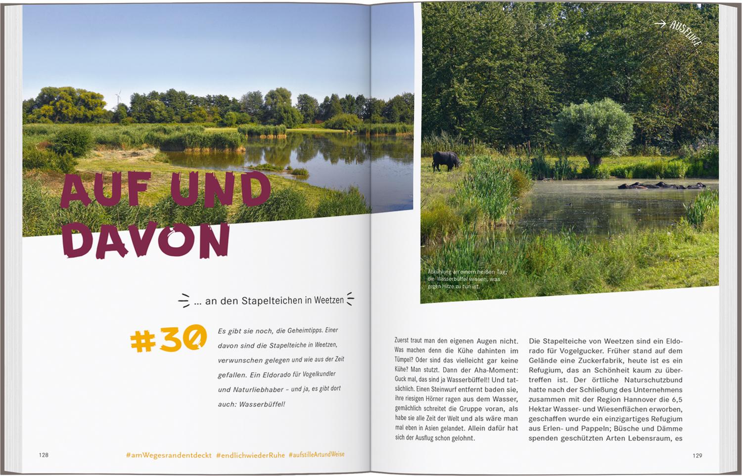 Beispielinhalt (Bild) 52 kleine & große Eskapaden in und um Hannover