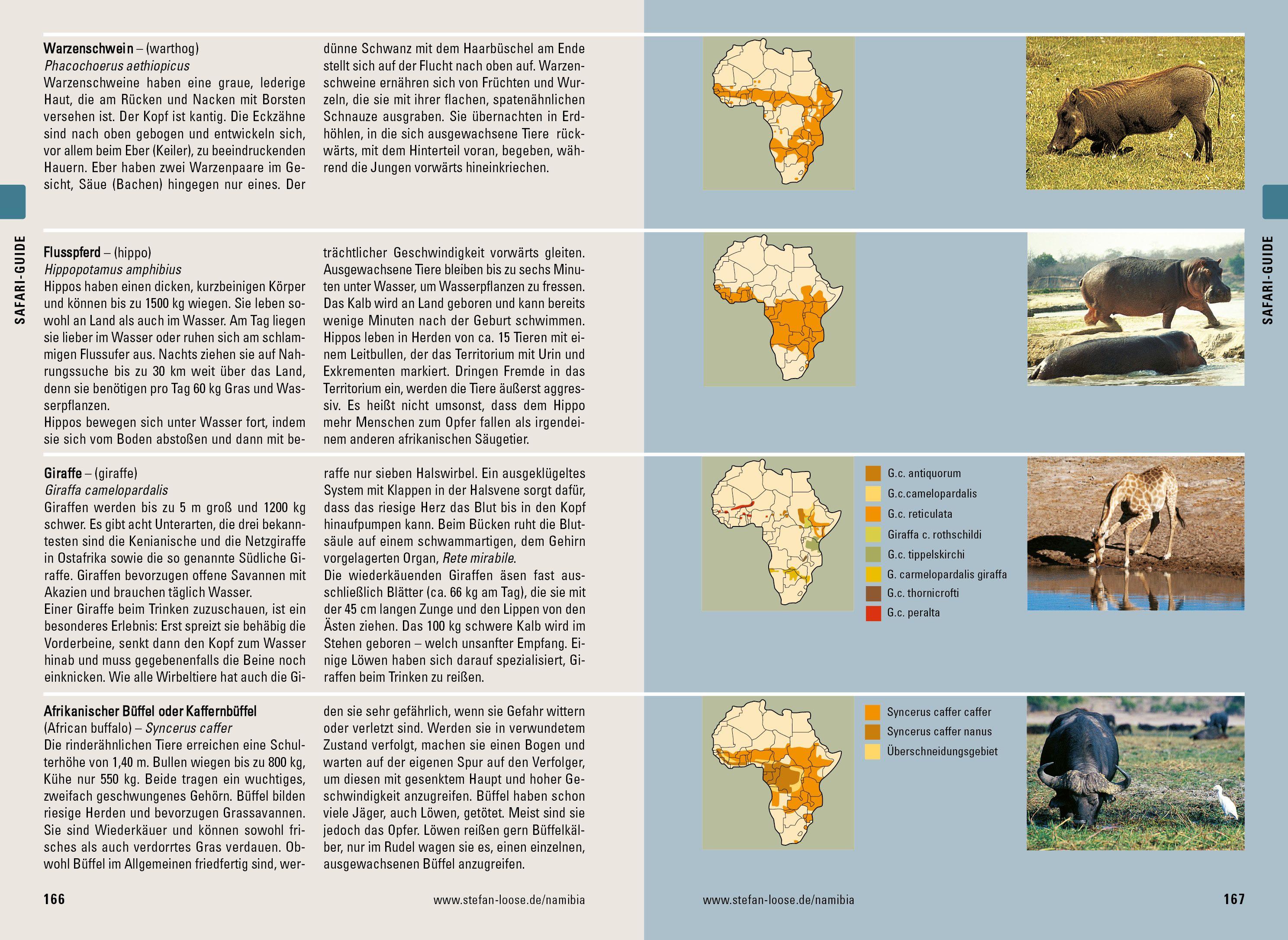 Beispielinhalt (Bild) Stefan Loose Reiseführer Namibia