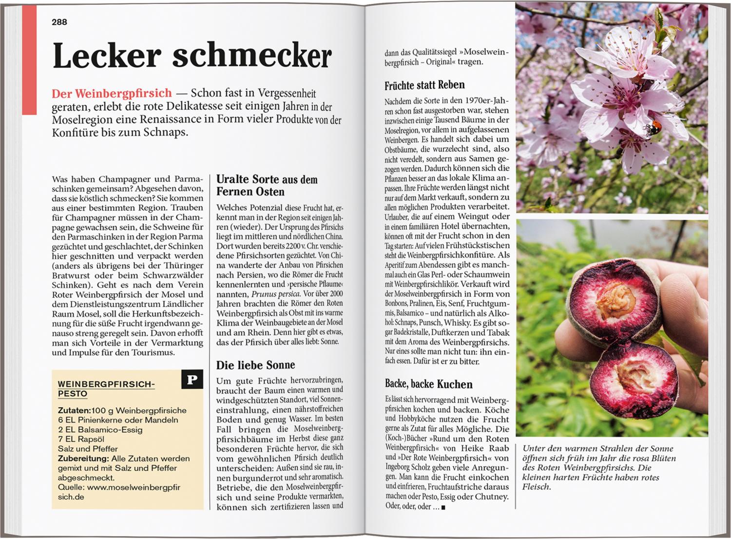 Beispielinhalt (Bild) DUMONT Reise-Taschenbuch Reiseführer Mosel