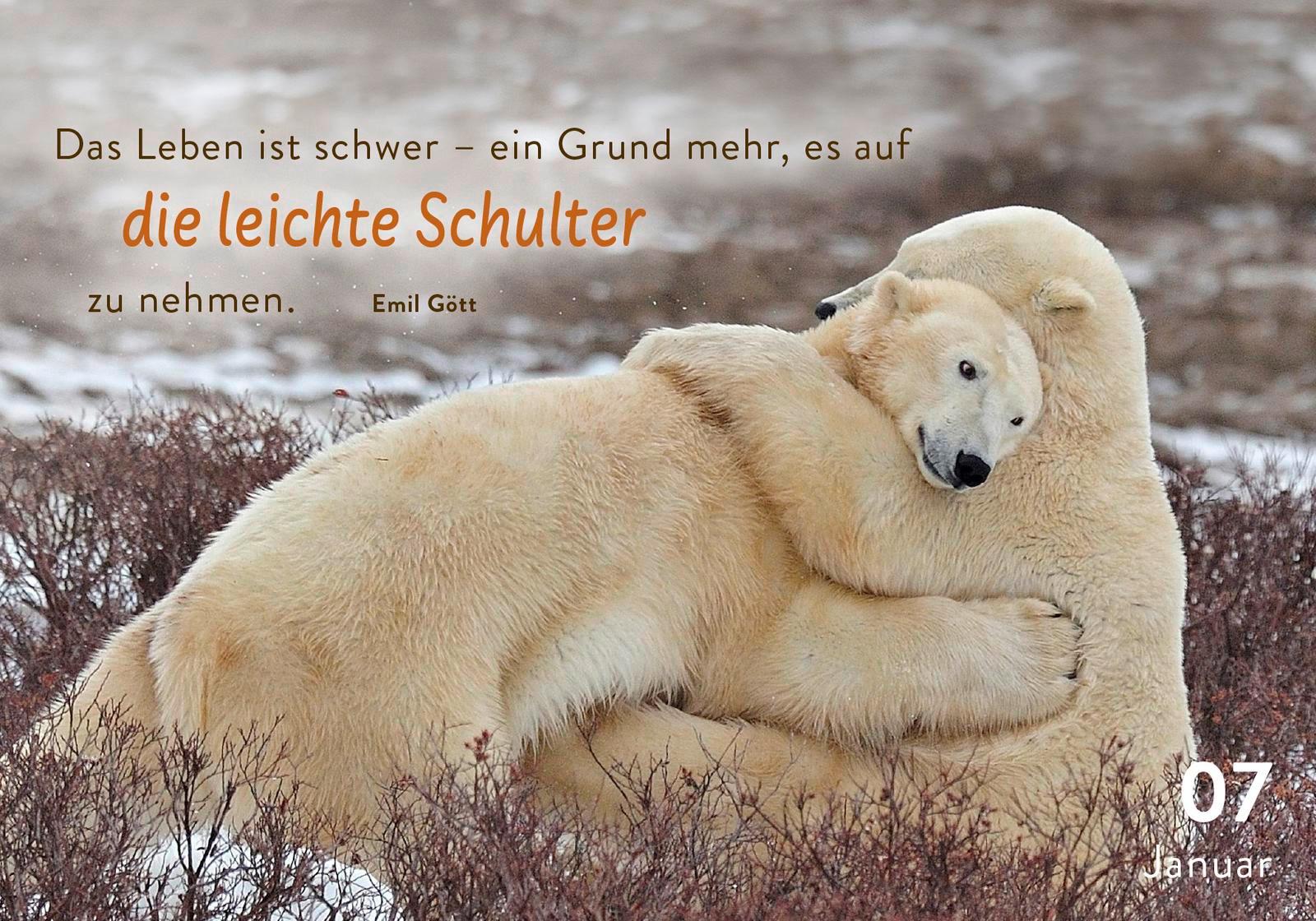 Beispielinhalt (Bild) 365 mal tierisch gut drauf!