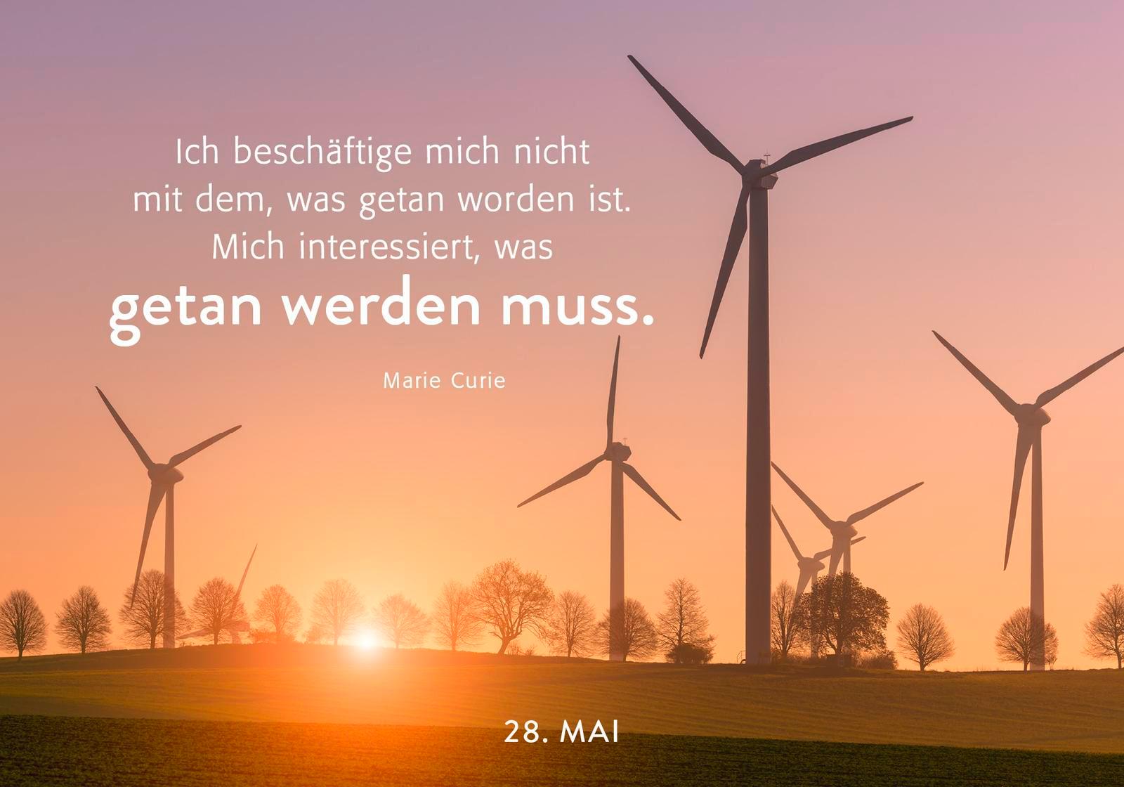 Beispielinhalt (Bild) 365 mal Zuversicht