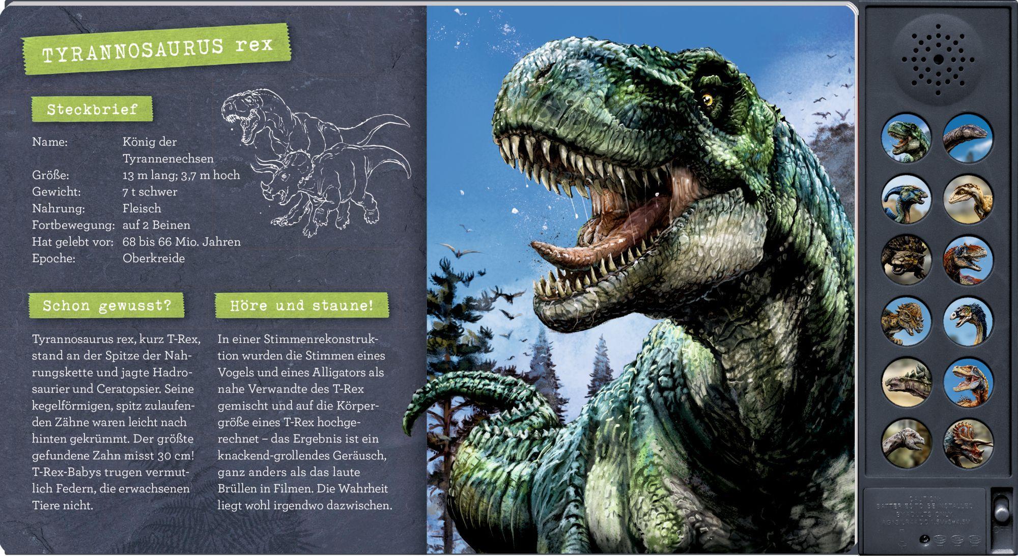 Beispielinhalt (Bild) Das große Dinosaurier-Soundbuch