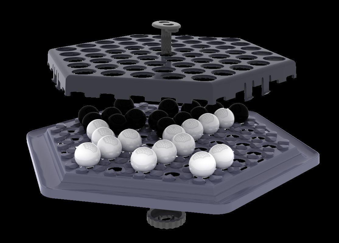 Beispielinhalt (Bild) Abalone Go