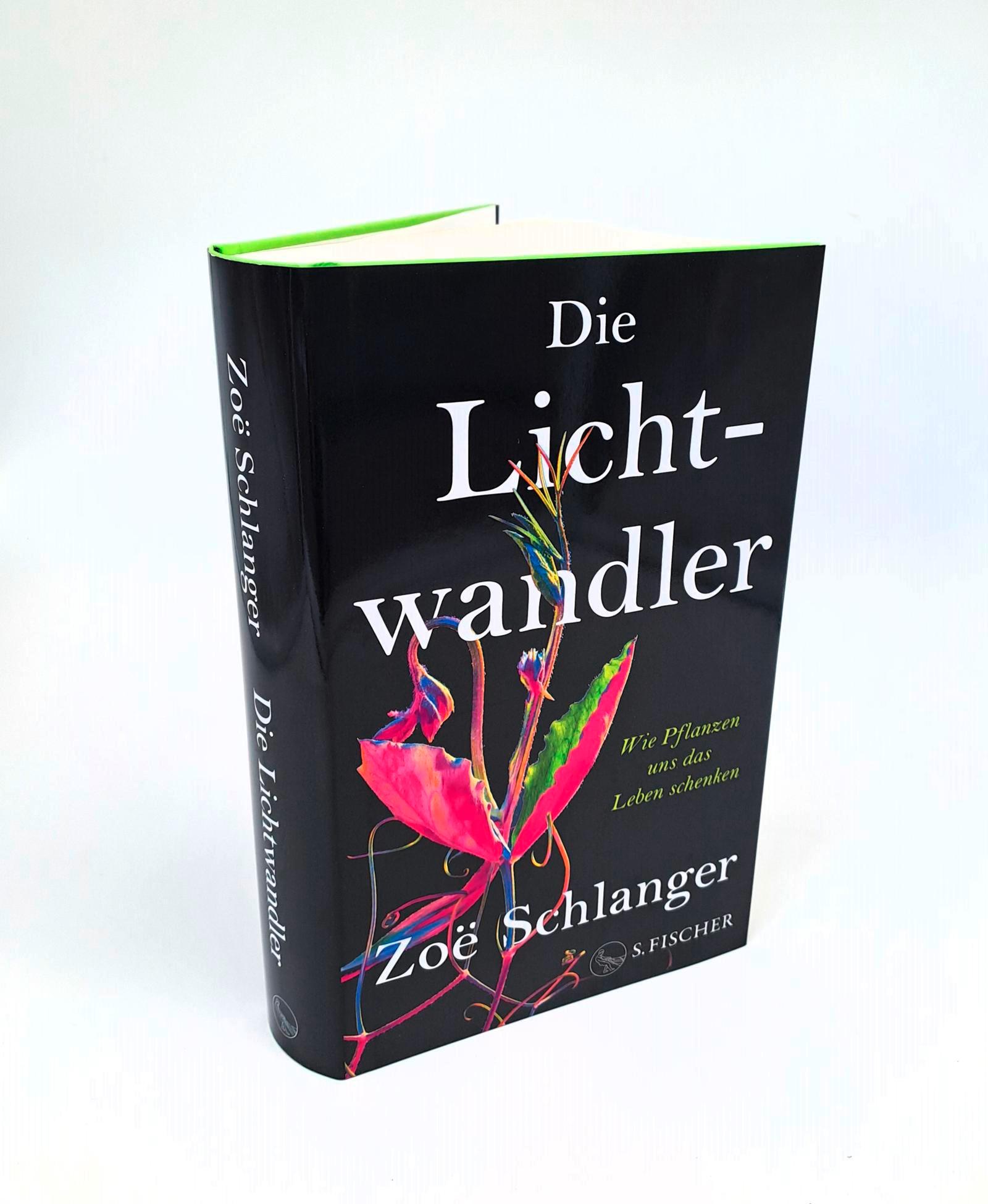 Beispielinhalt (Bild) Die Lichtwandler