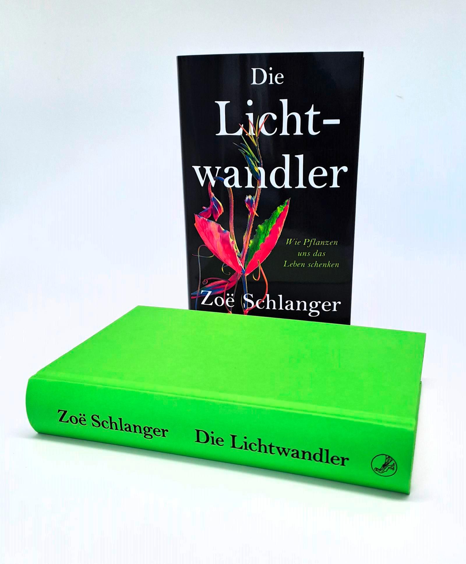 Beispielinhalt (Bild) Die Lichtwandler
