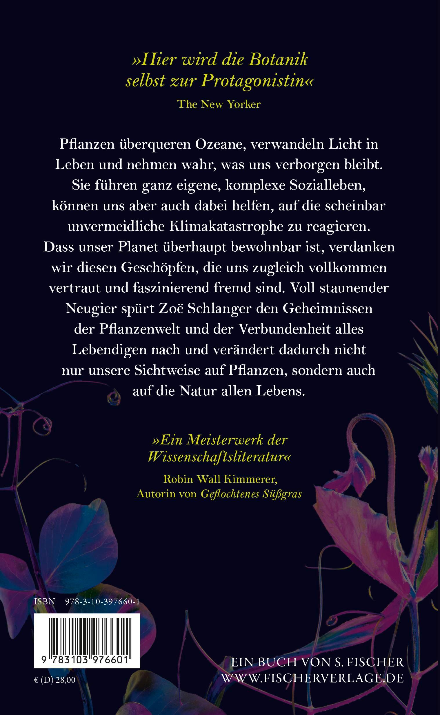 Rückseitencover Die Lichtwandler