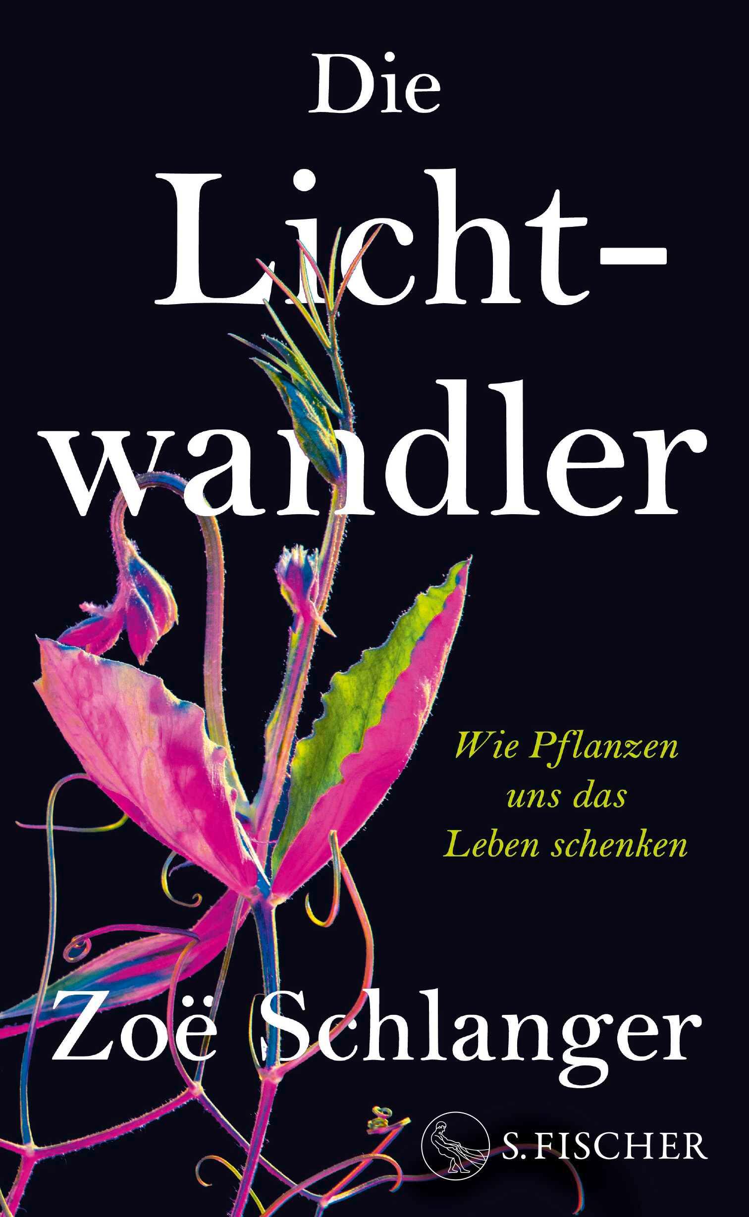 Vorderes Coverbild Die Lichtwandler