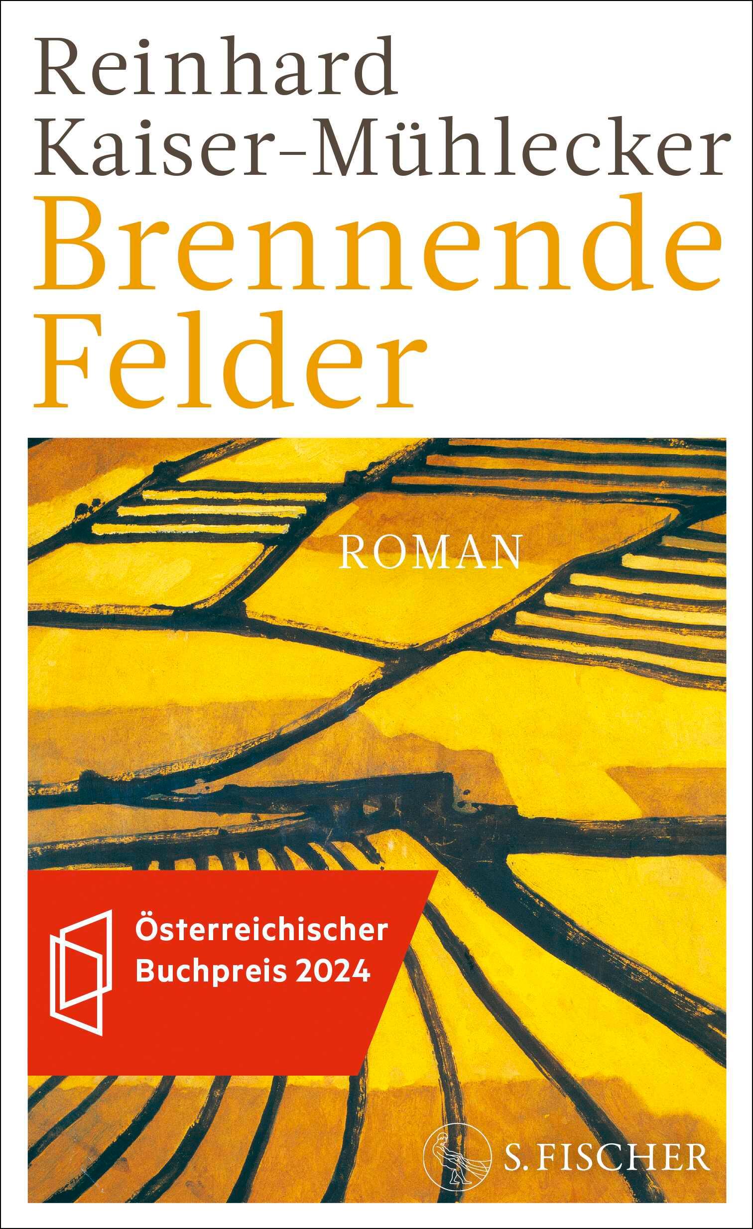 Vorderes Coverbild Brennende Felder