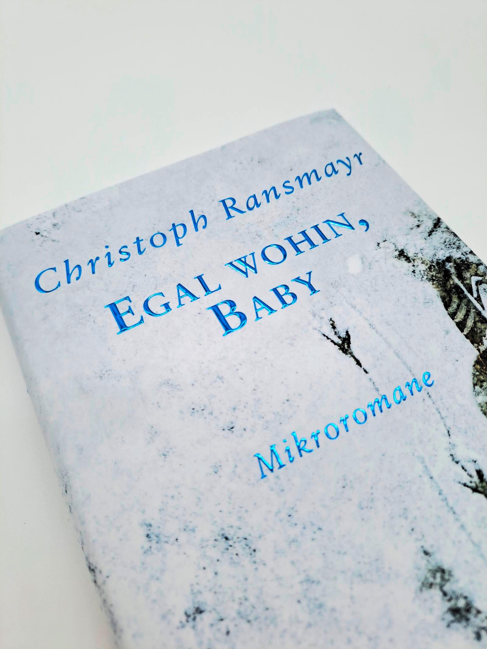 Beispielinhalt (Bild) Egal wohin, Baby