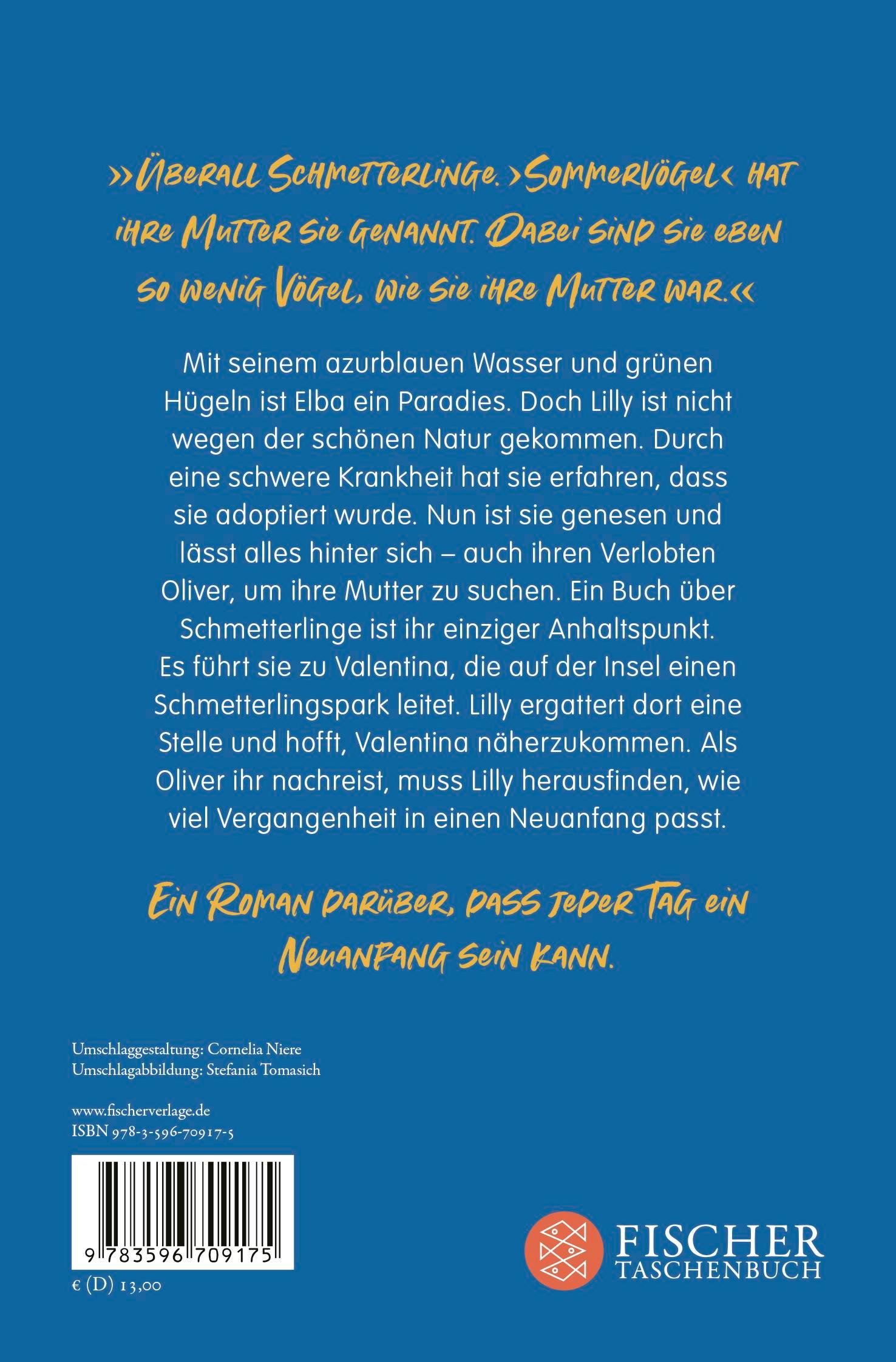 Rückseitencover Sommervogelflug
