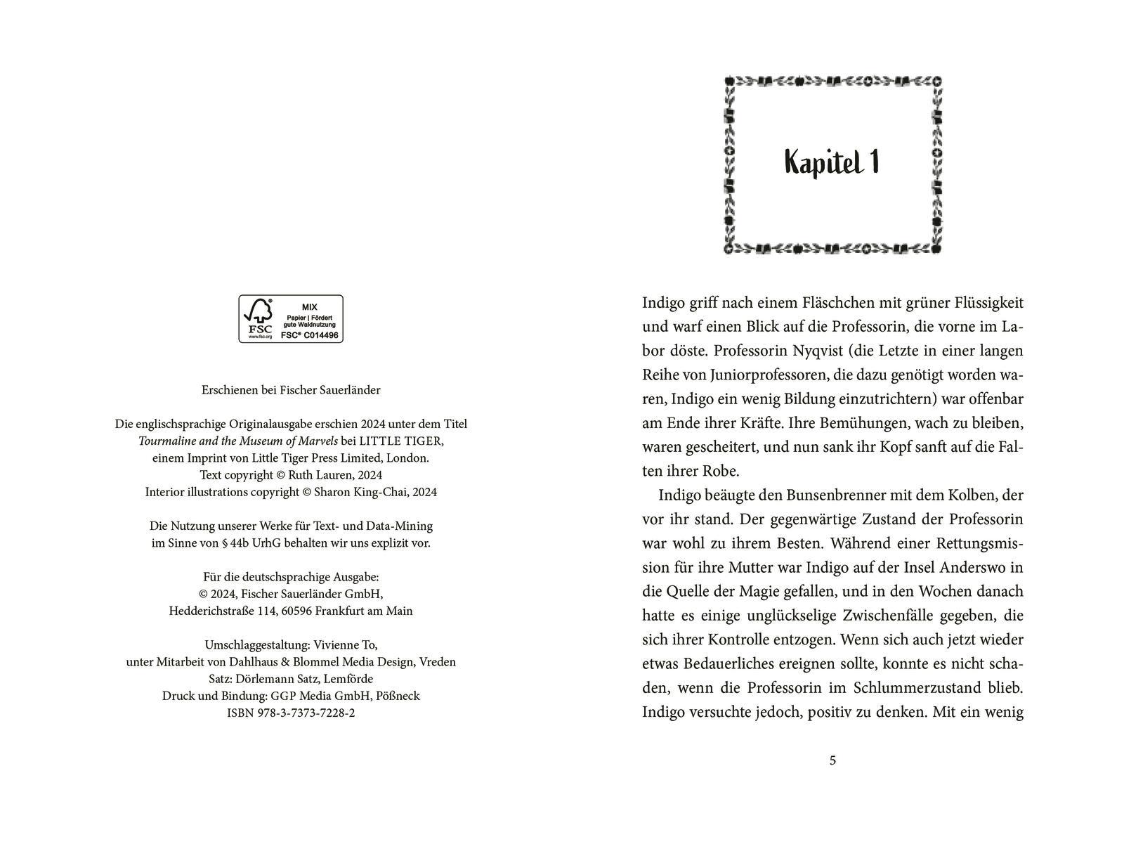 Beispielinhalt (Bild) Indigo Grey - Das Schloss der verborgenen Wunder