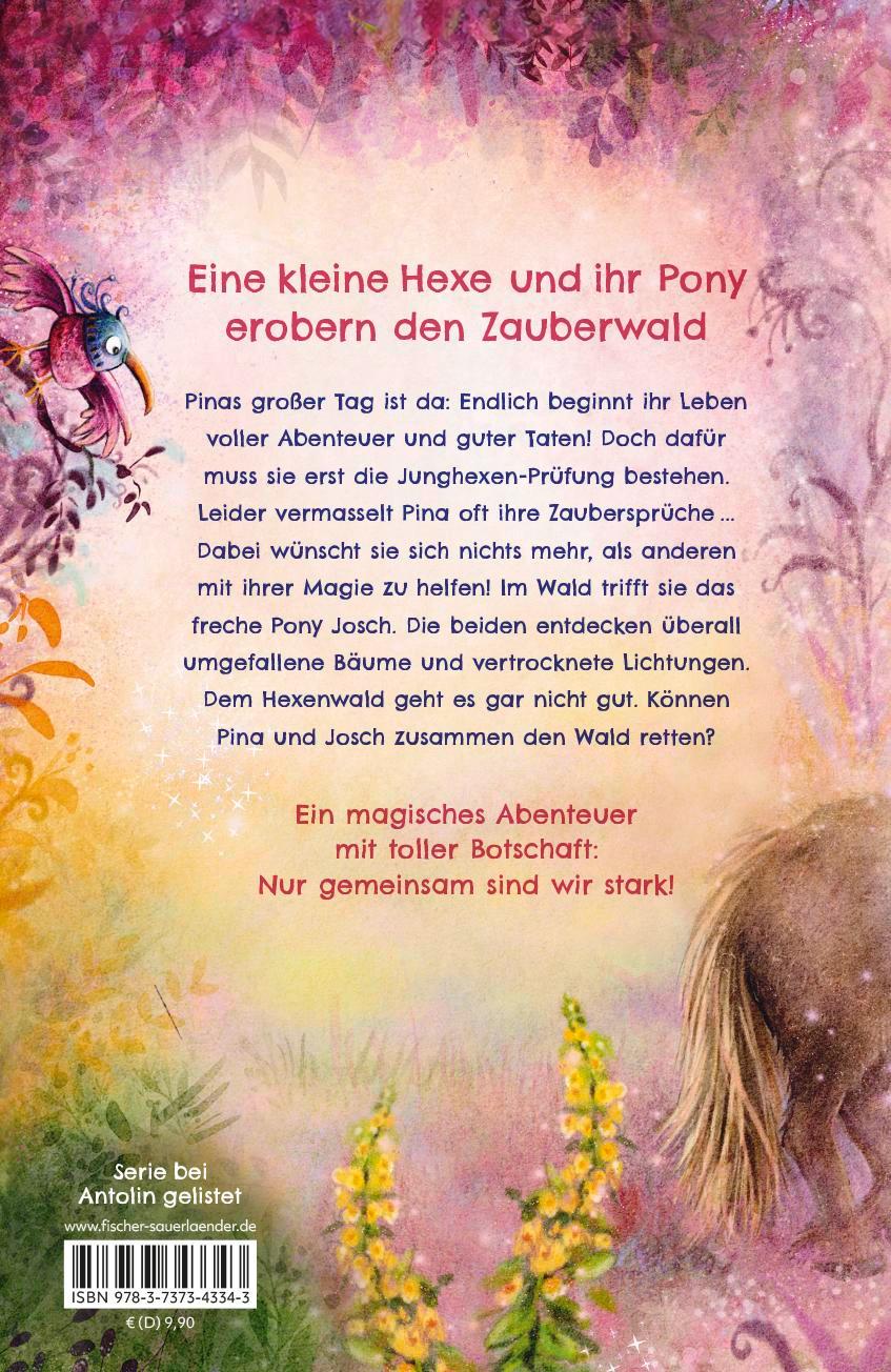 Rückseitencover Pina Ponyhexe - Eine magische Freundschaft