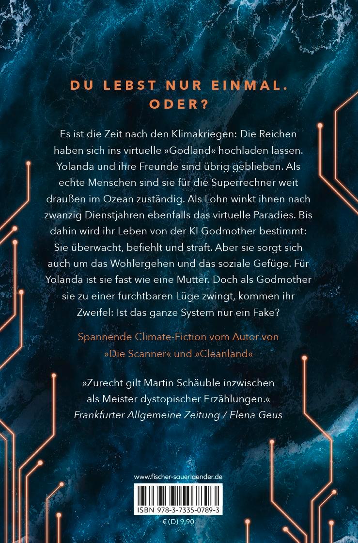 Rückseitencover Godland