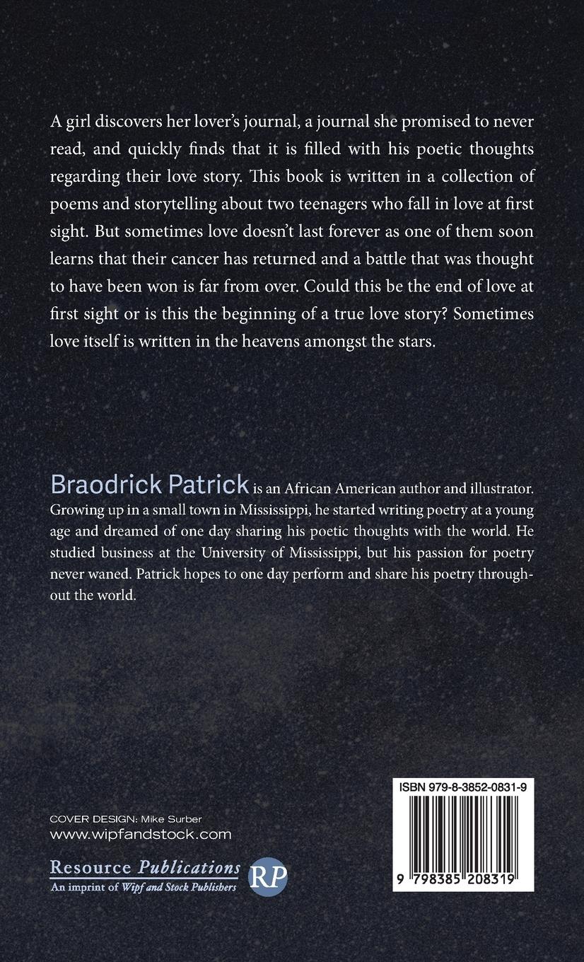 Rückseitencover I Loved You before I Met You