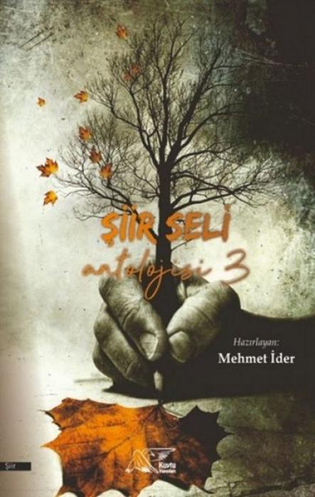 Vorderes Coverbild Siir Seli Antolojisi 3