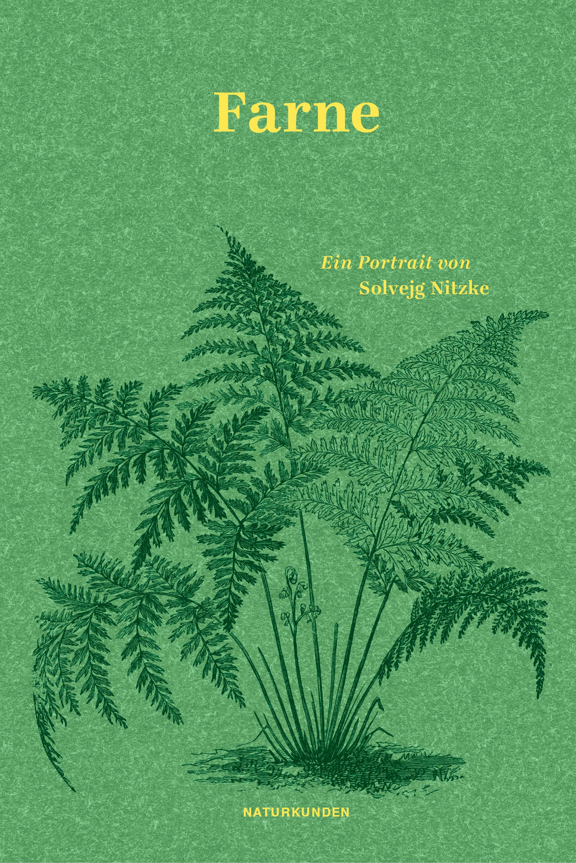 Vorderes Coverbild Farne