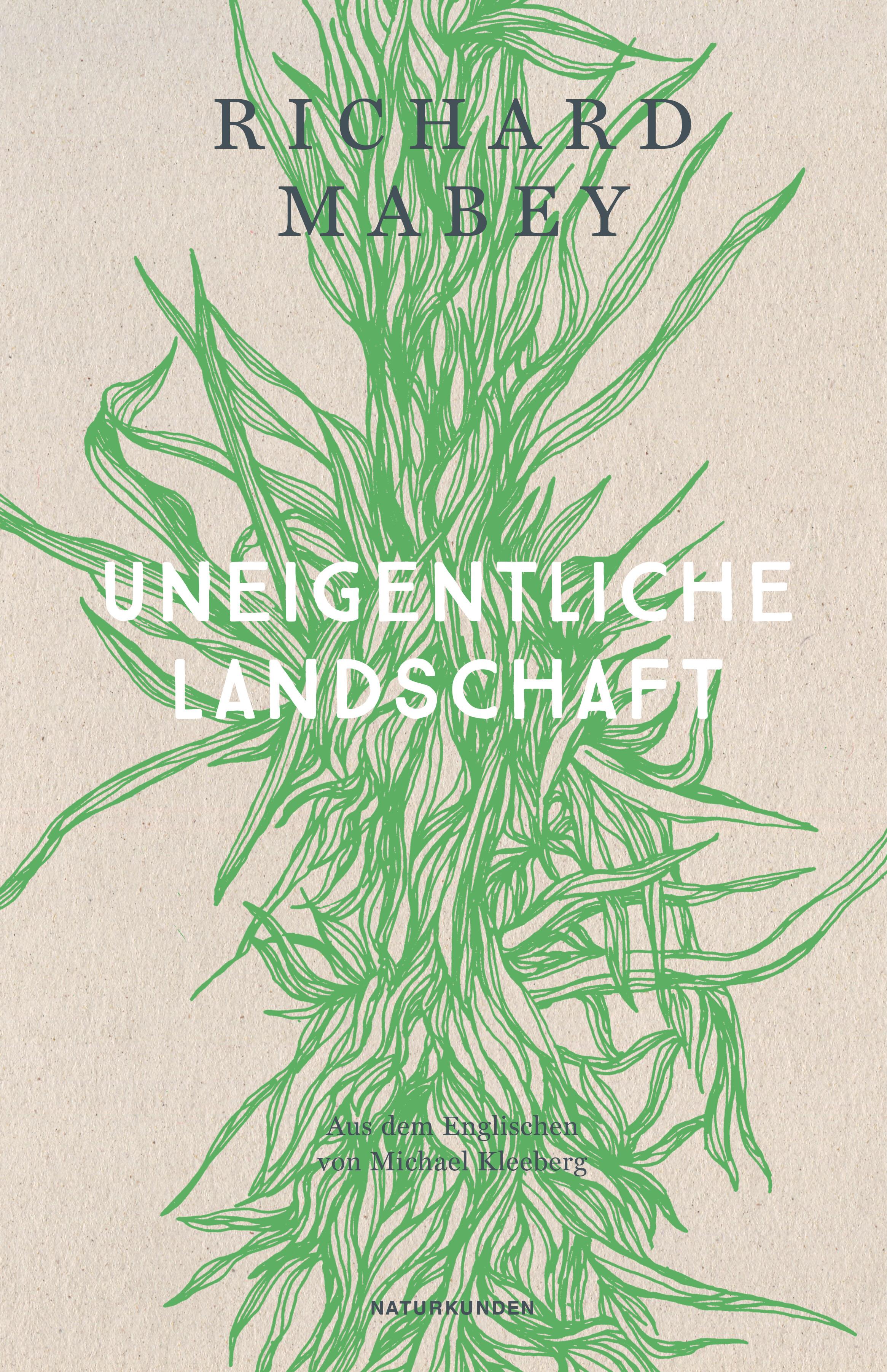 Vorderes Coverbild Uneigentliche Landschaft