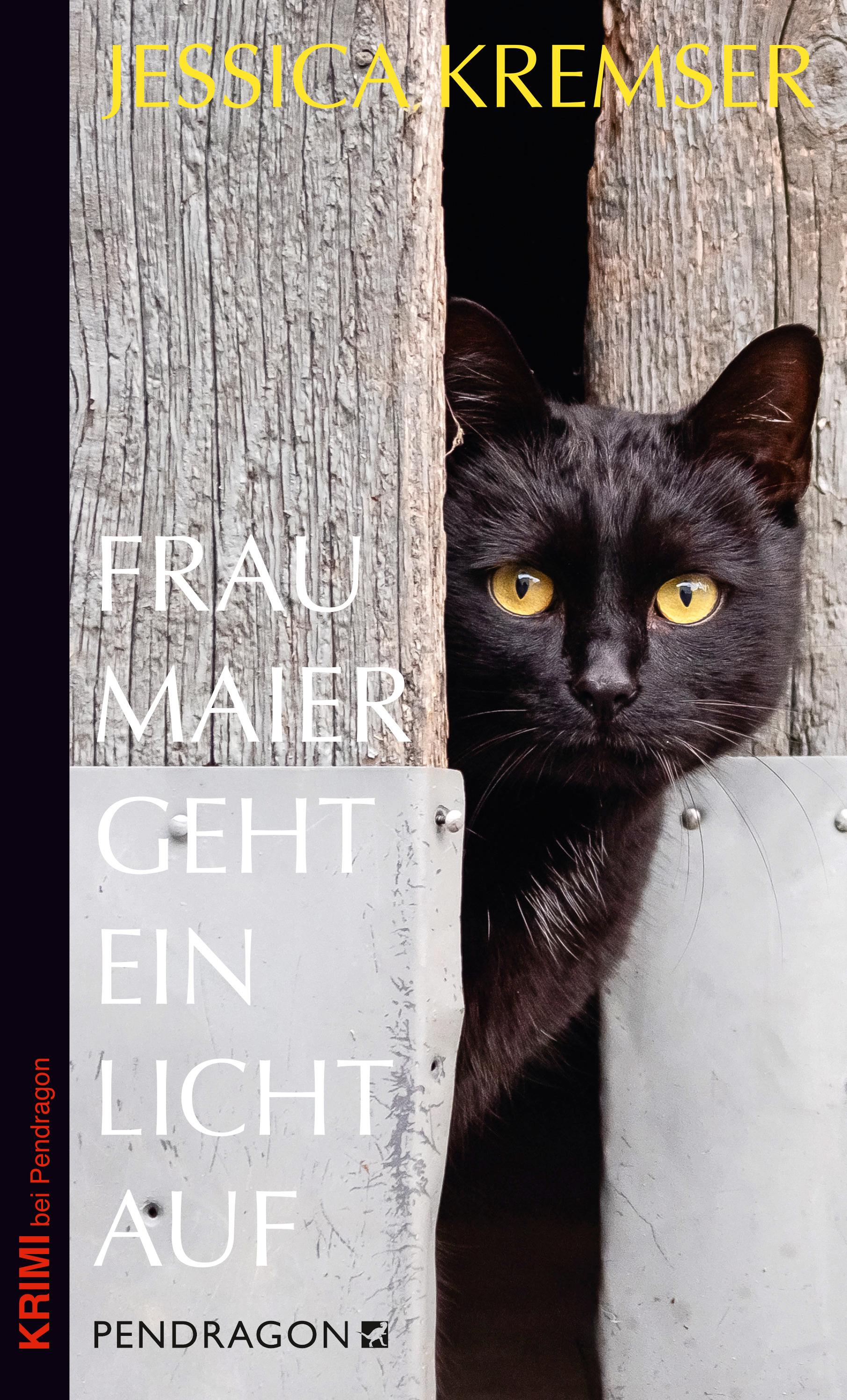 Vorderes Coverbild Frau Maier geht ein Licht auf