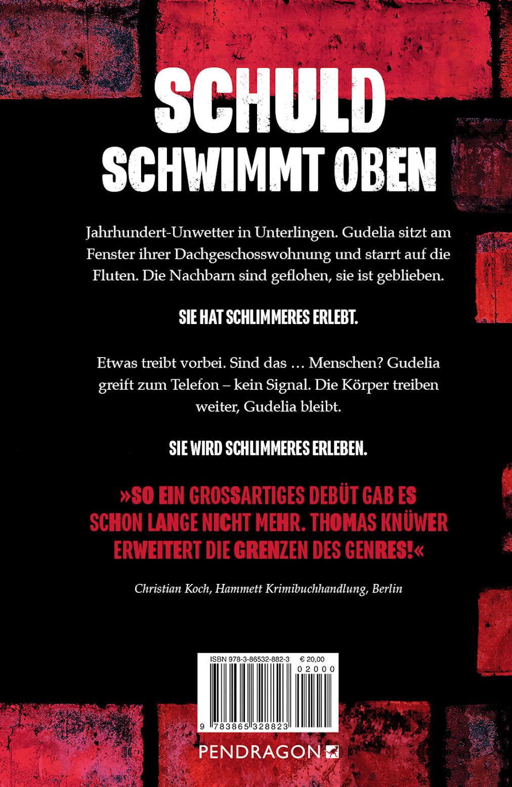 Rückseitencover Das Haus in dem Gudelia stirbt