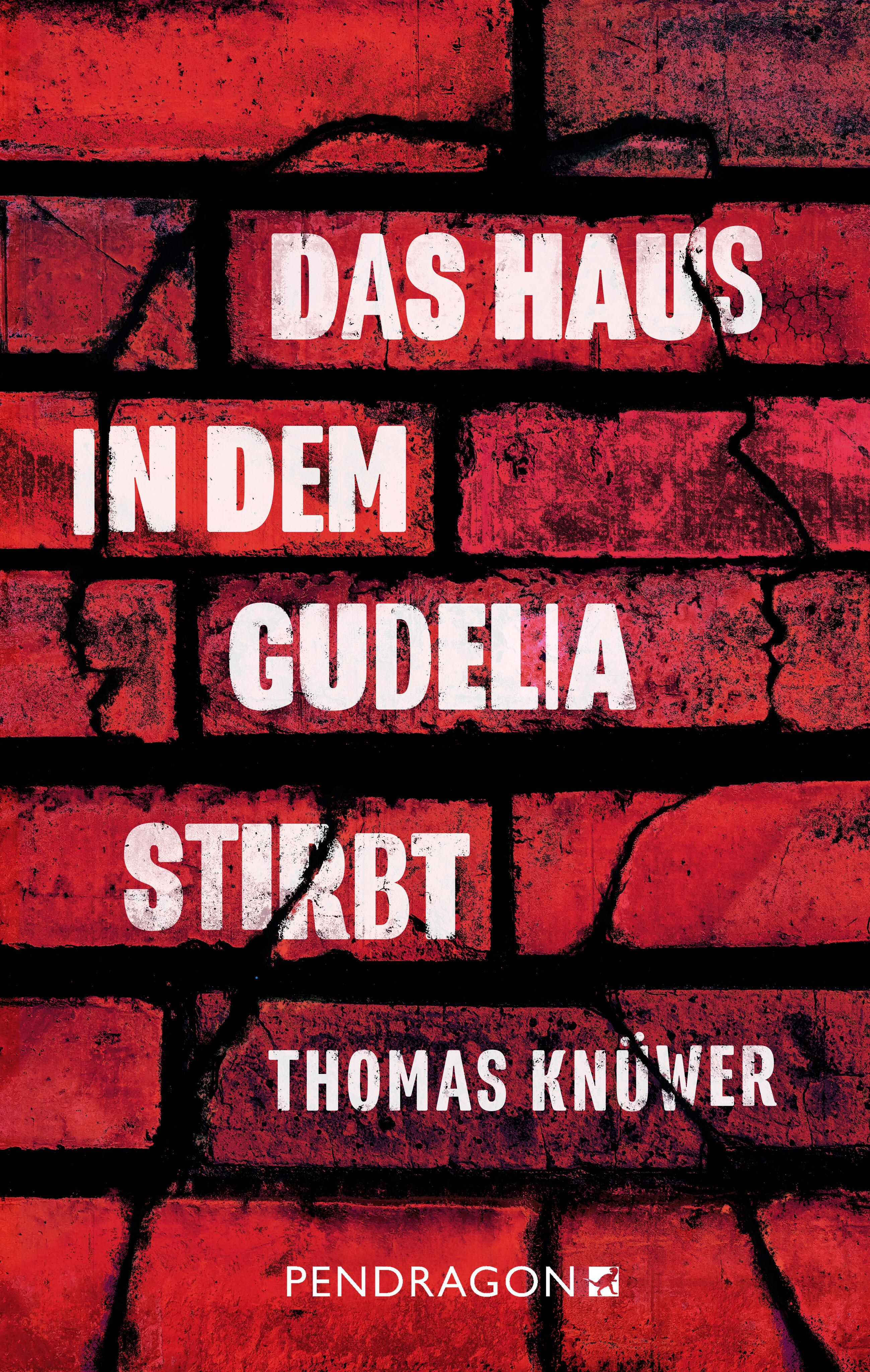 Vorderes Coverbild Das Haus in dem Gudelia stirbt