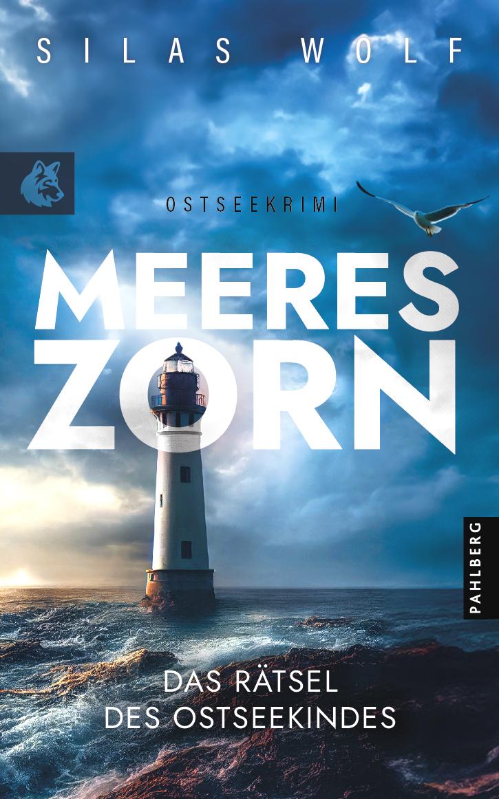 Vorderes Coverbild Meereszorn - Das Rätsel des Ostseekindes