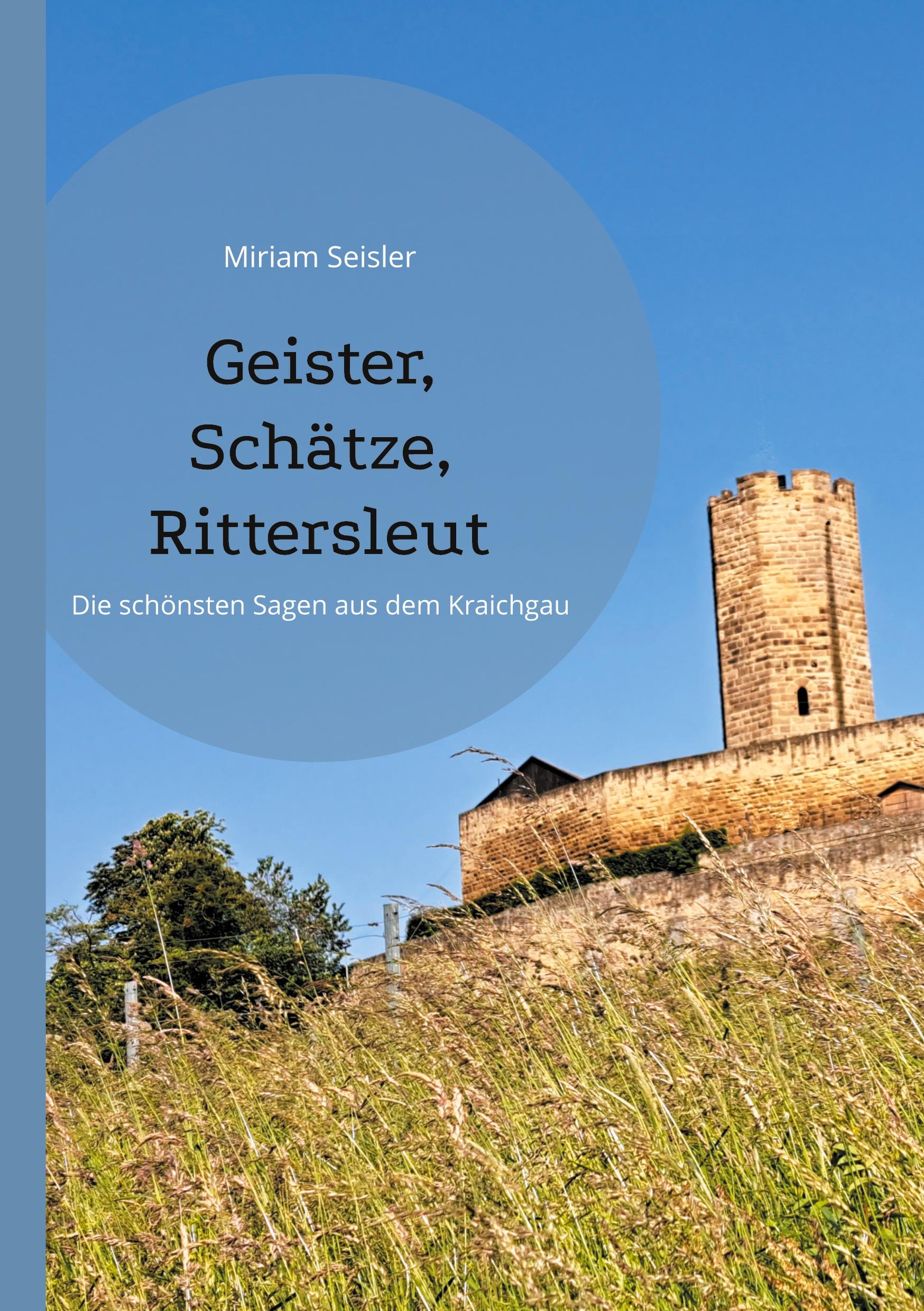 Vorderes Coverbild Geister, Schätze, Rittersleut