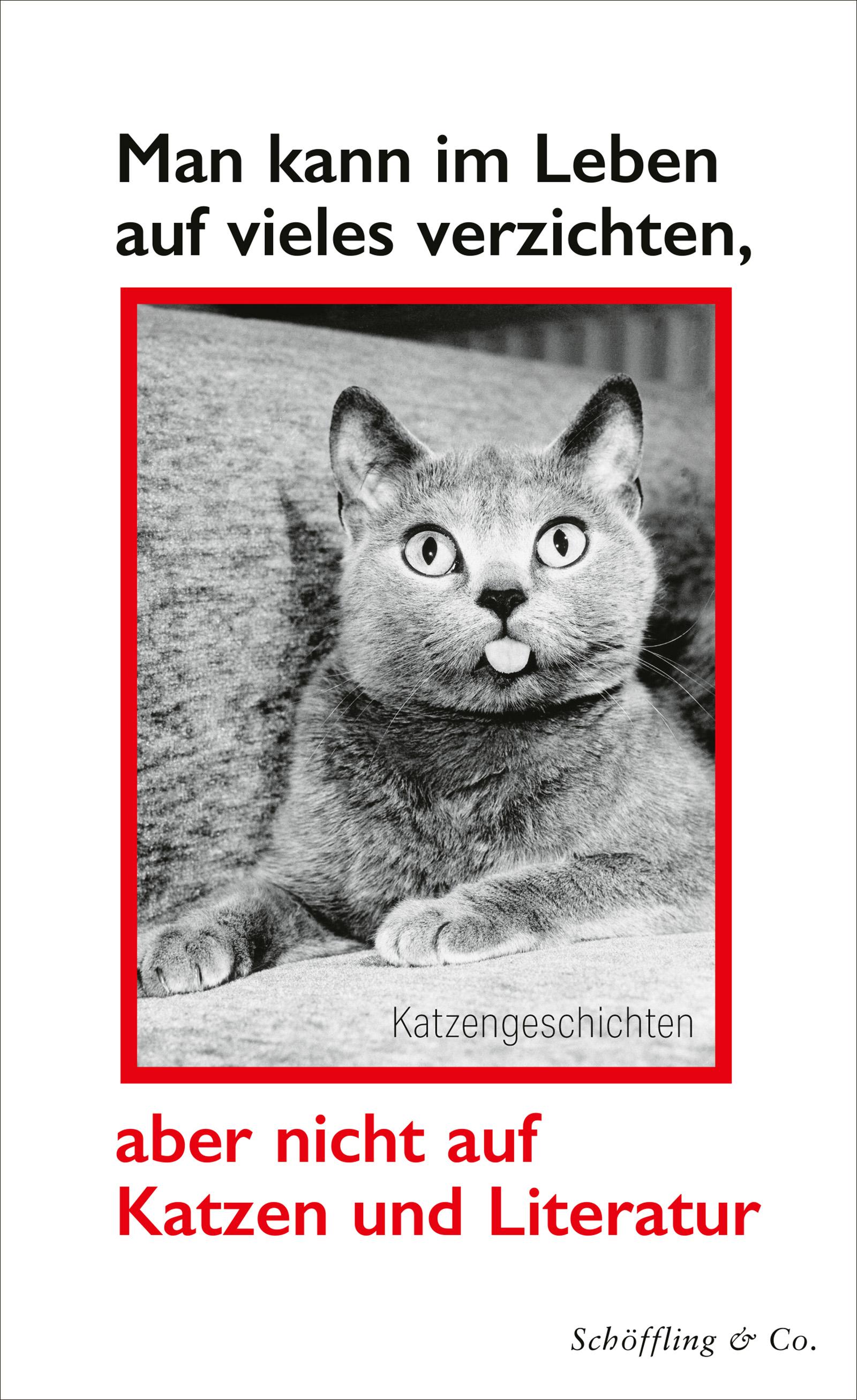Vorderes Coverbild Man kann im Leben auf vieles verzichten, aber nicht auf Katzen und Literatur