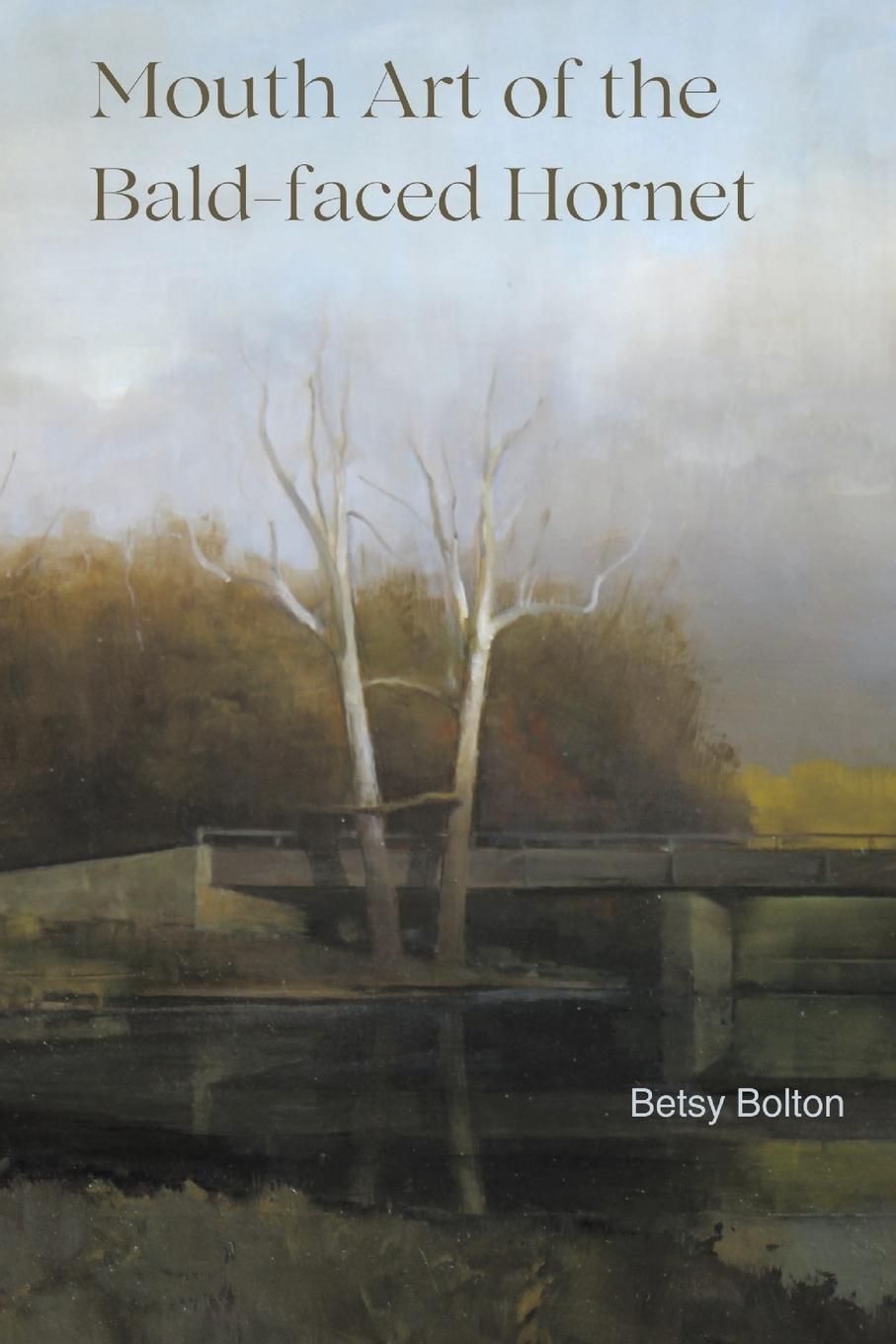 Vorderes Coverbild Mouth Art of the Bald-faced Hornet