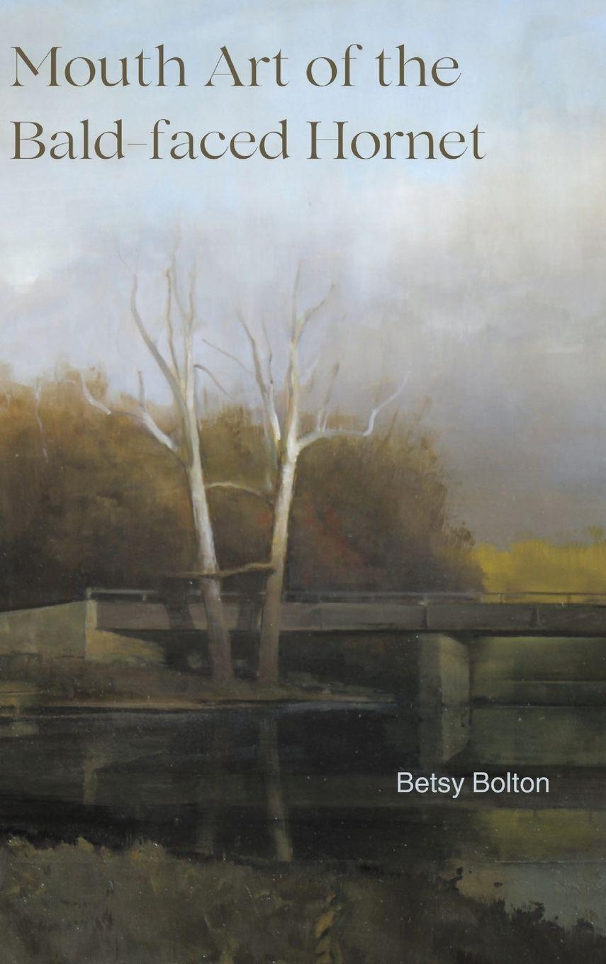 Vorderes Coverbild Mouth Art of the Bald-faced Hornet