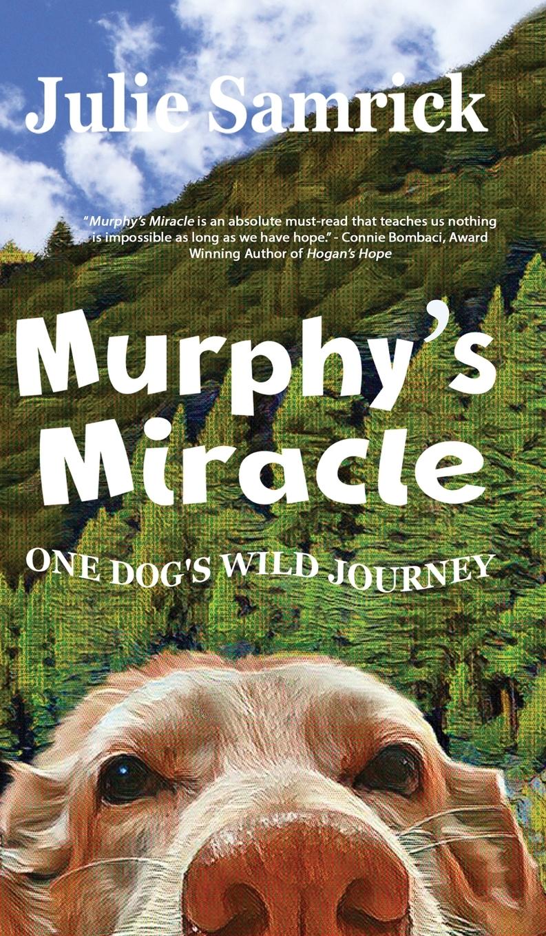 Vorderes Coverbild Murphy's Miracle