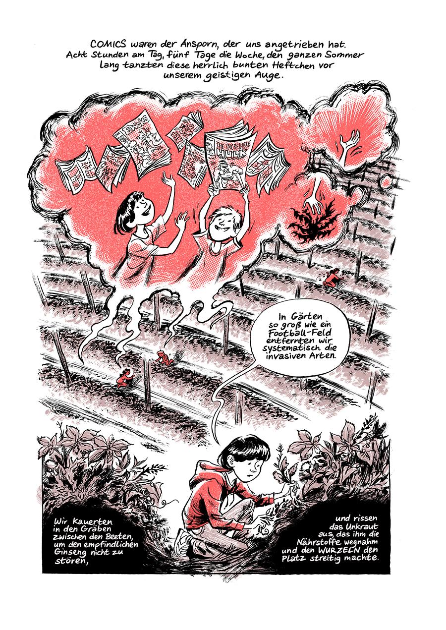 Beispielinhalt (Bild) Ginsengwurzeln