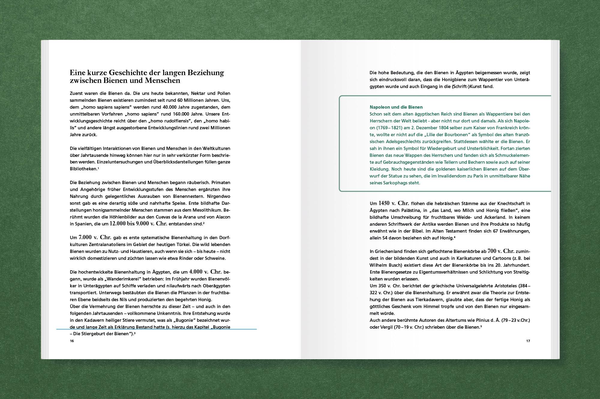 Beispielinhalt (Bild) Honig für Kunst & Gesellschaft